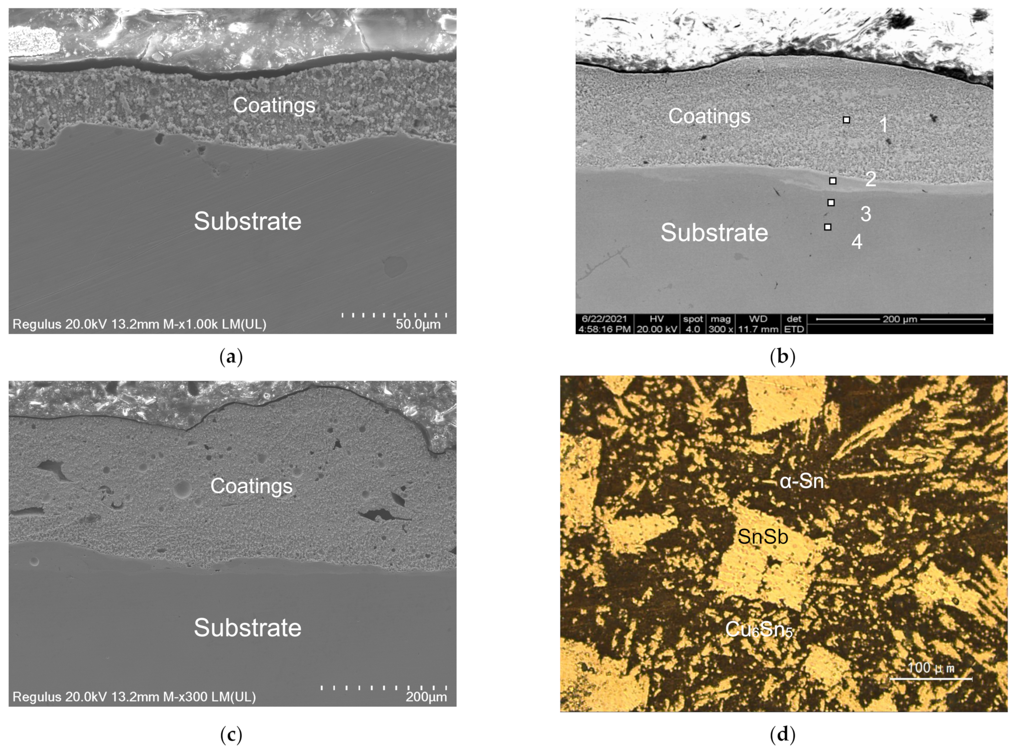Coatings 12 00930 g004