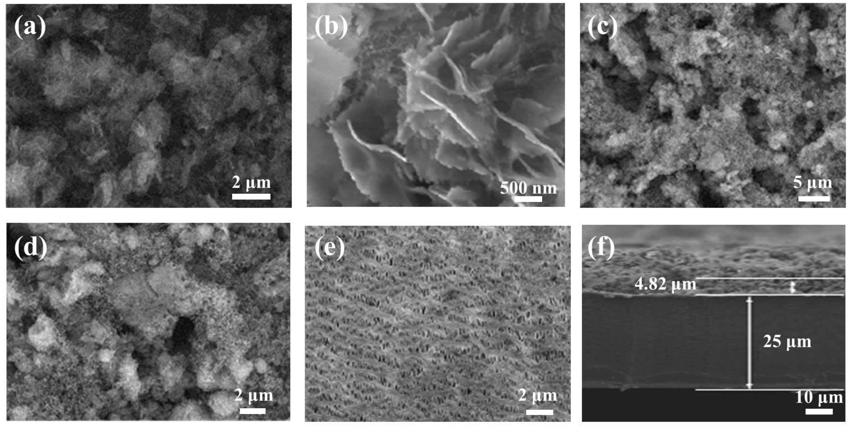 Coatings 12 00931 g002