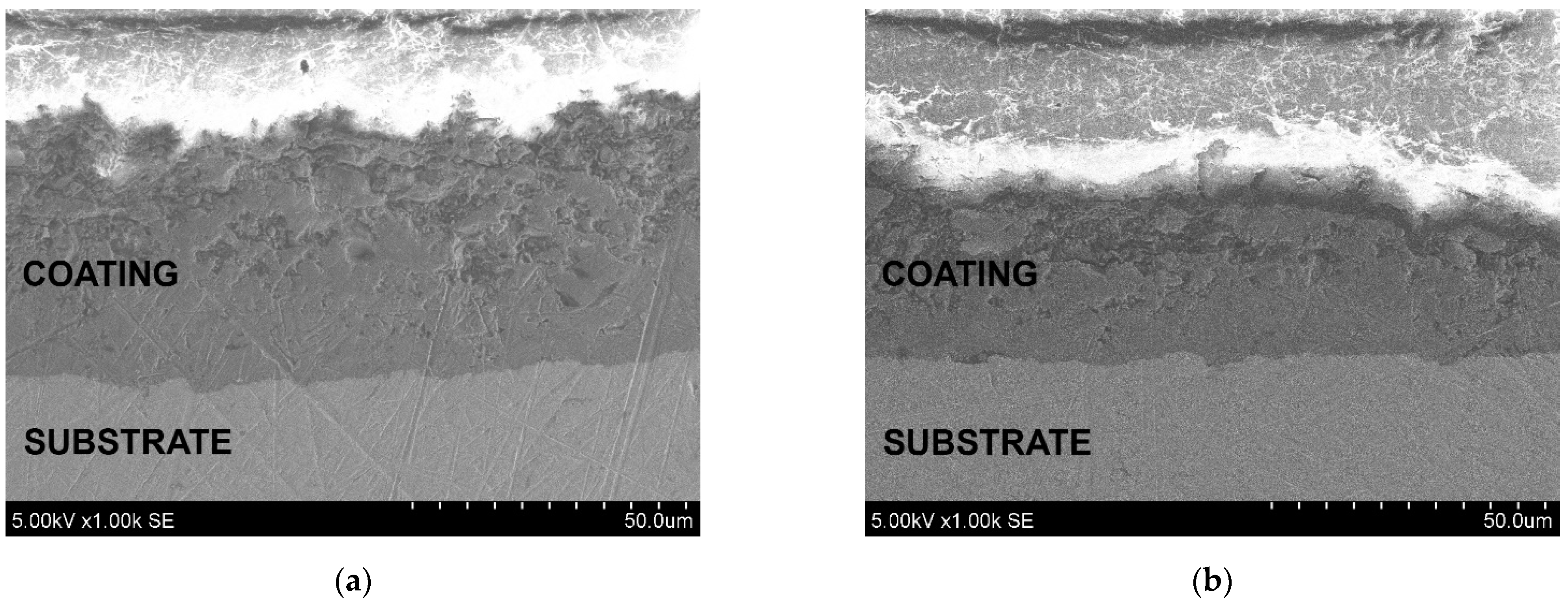 Coatings 12 00934 g006a