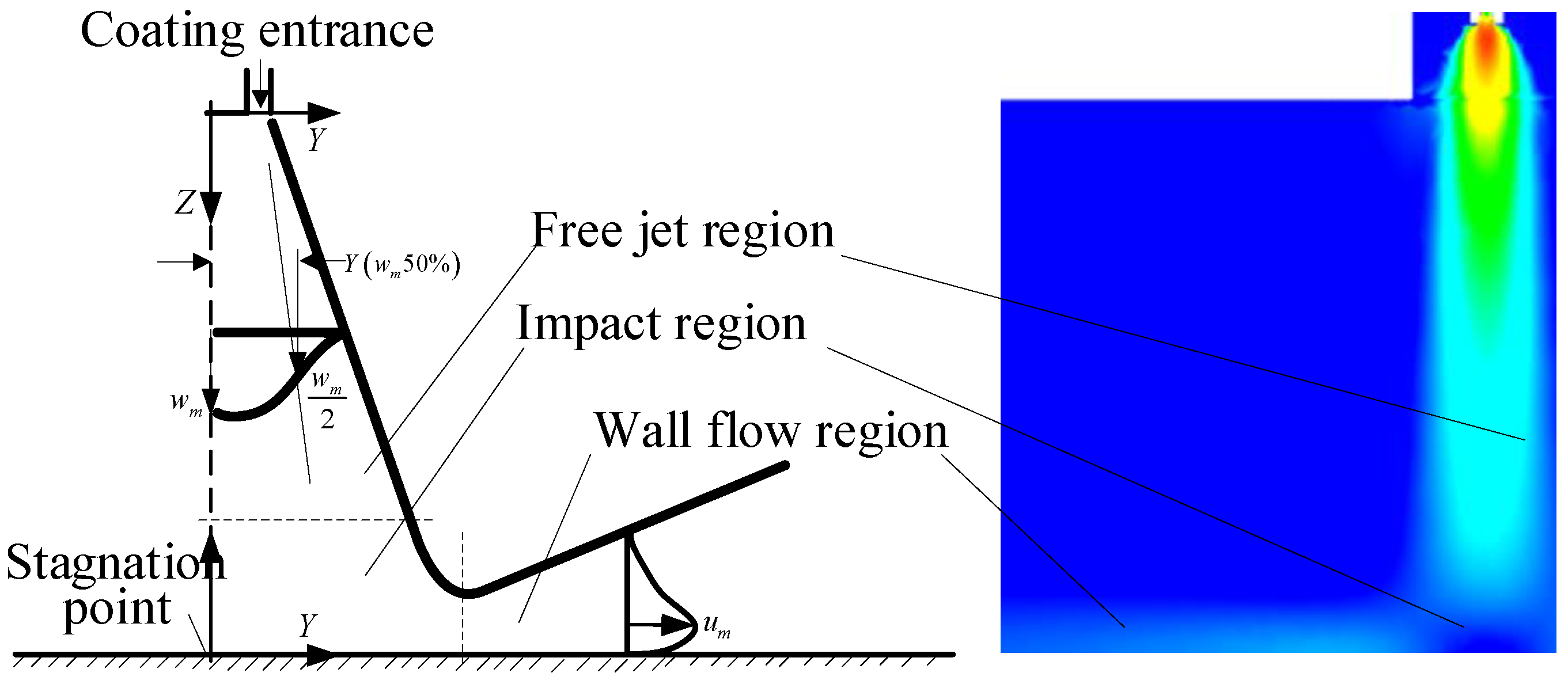 Coatings 12 00949 g005