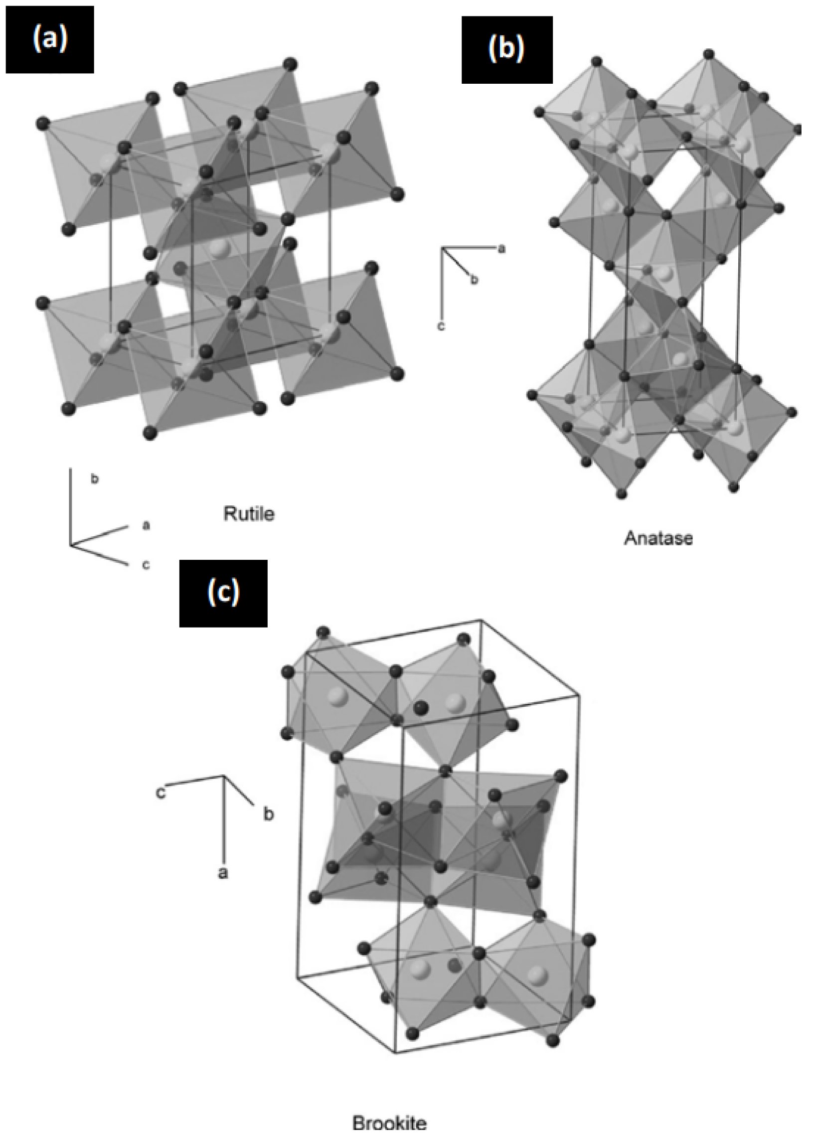 Coatings 12 00968 g001