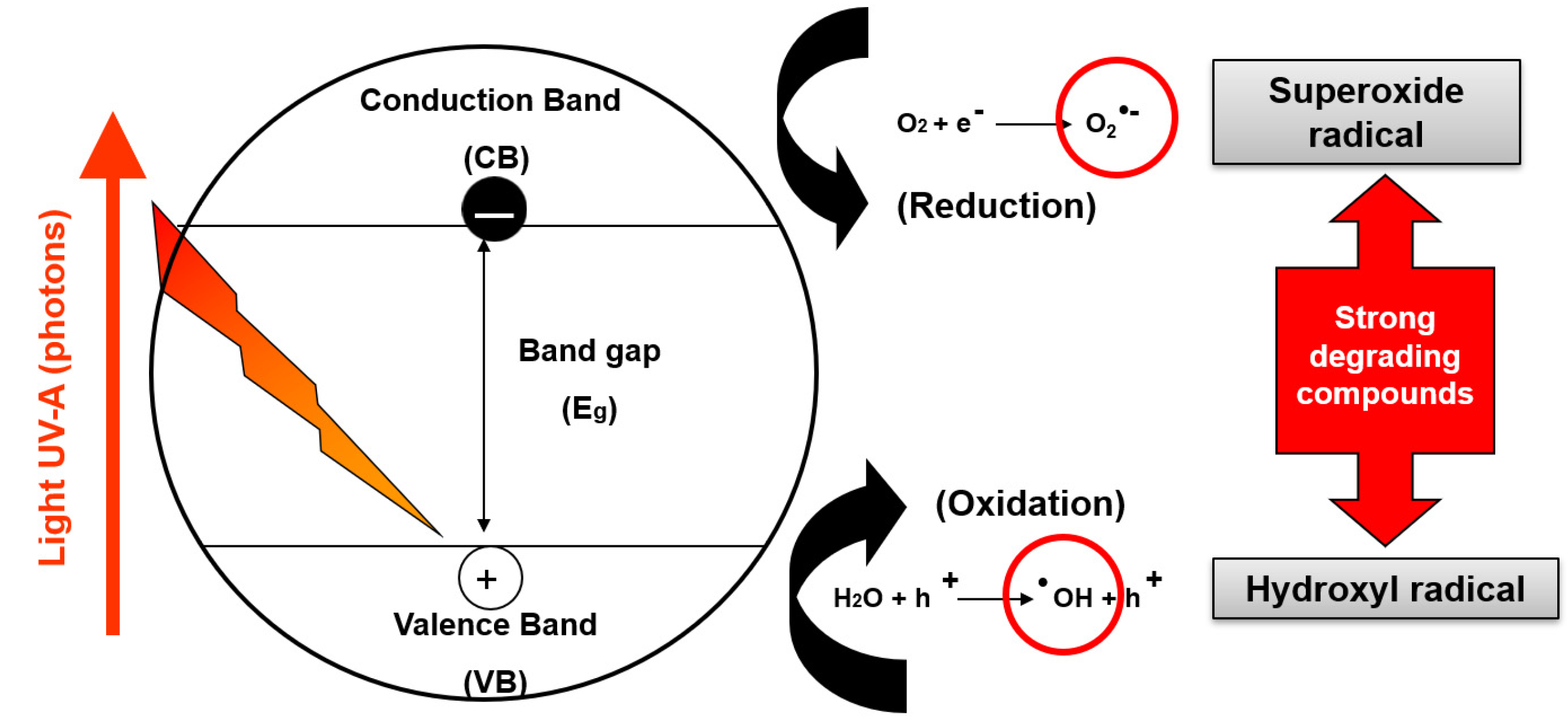 Coatings 12 00968 g002