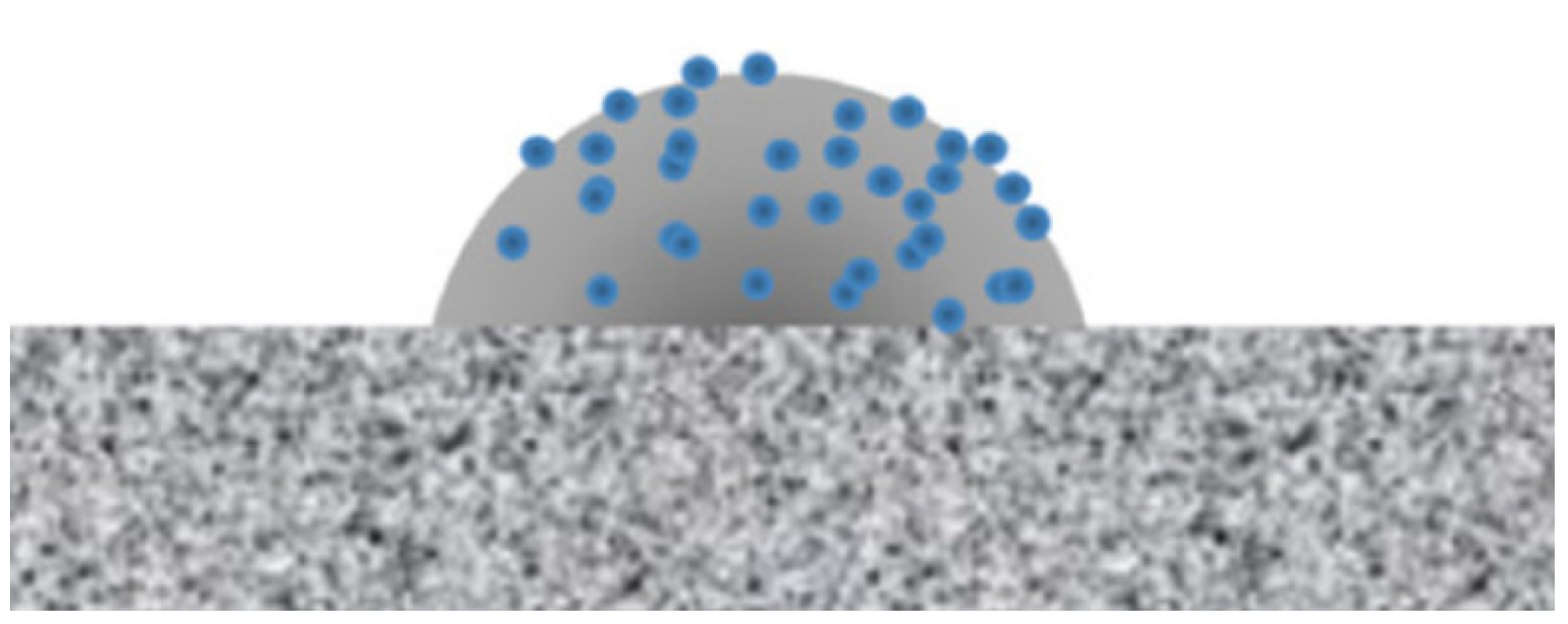 Coatings 12 00968 g003