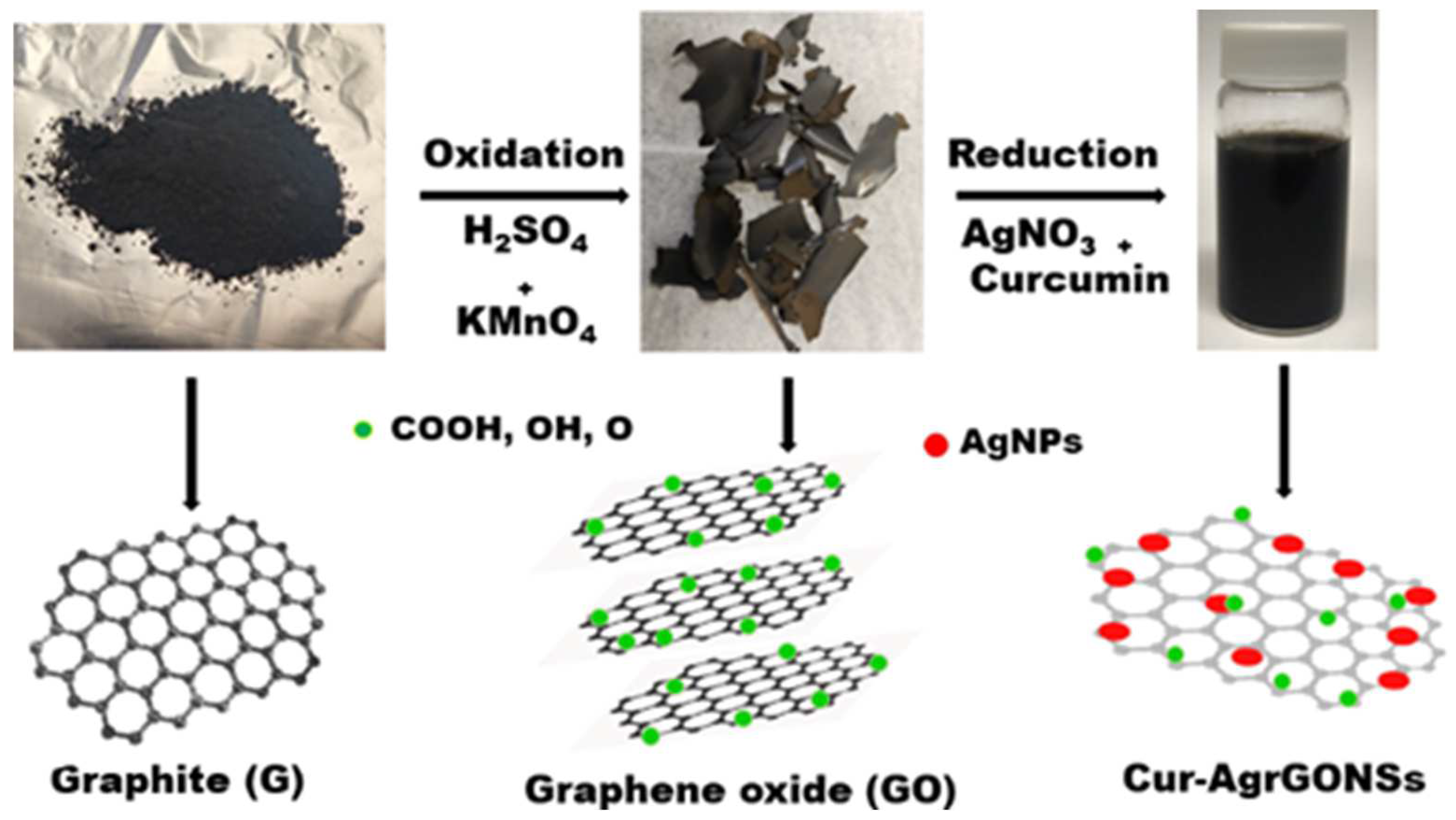 Coatings 12 00980 g002