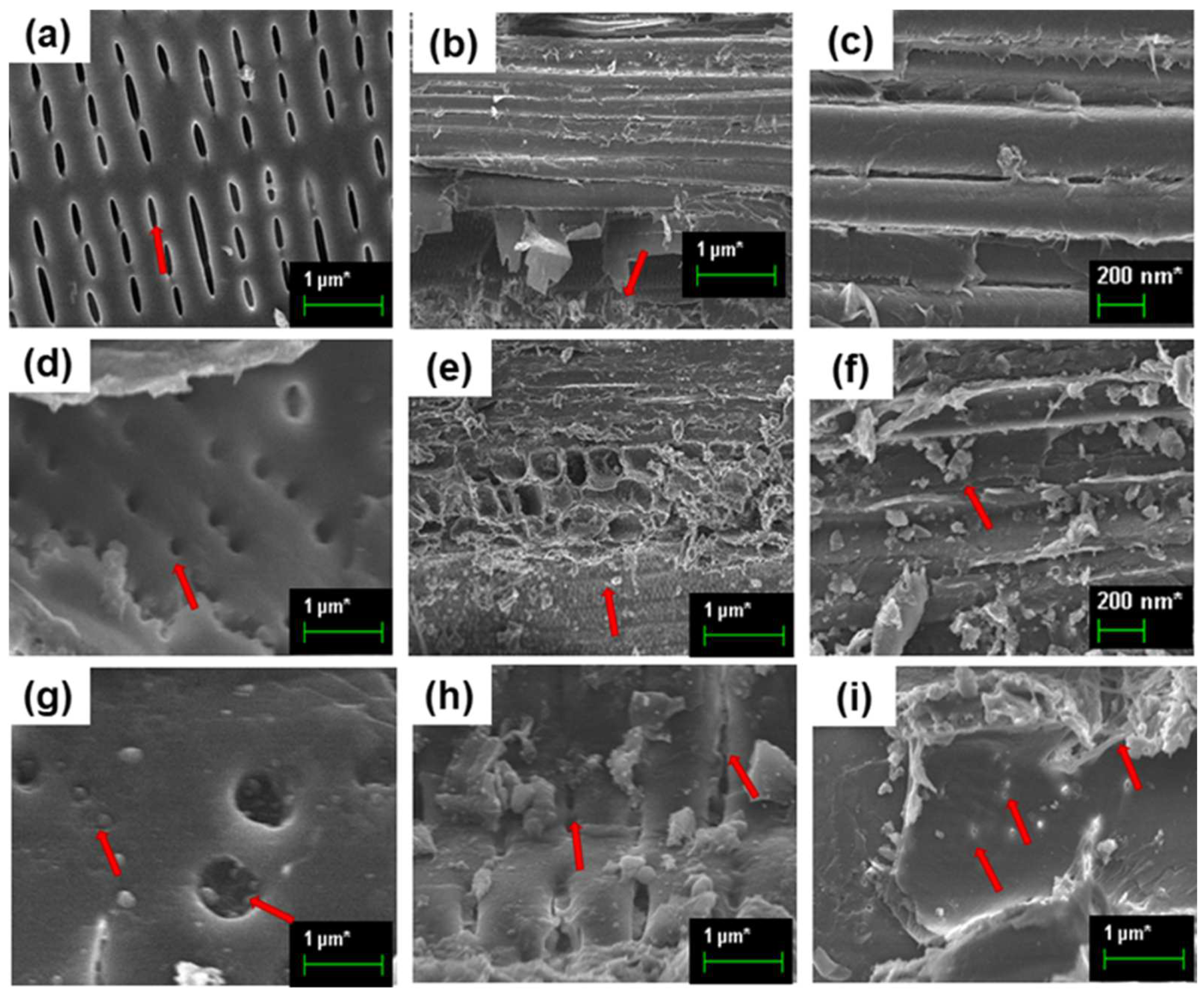 Coatings 12 00980 g003