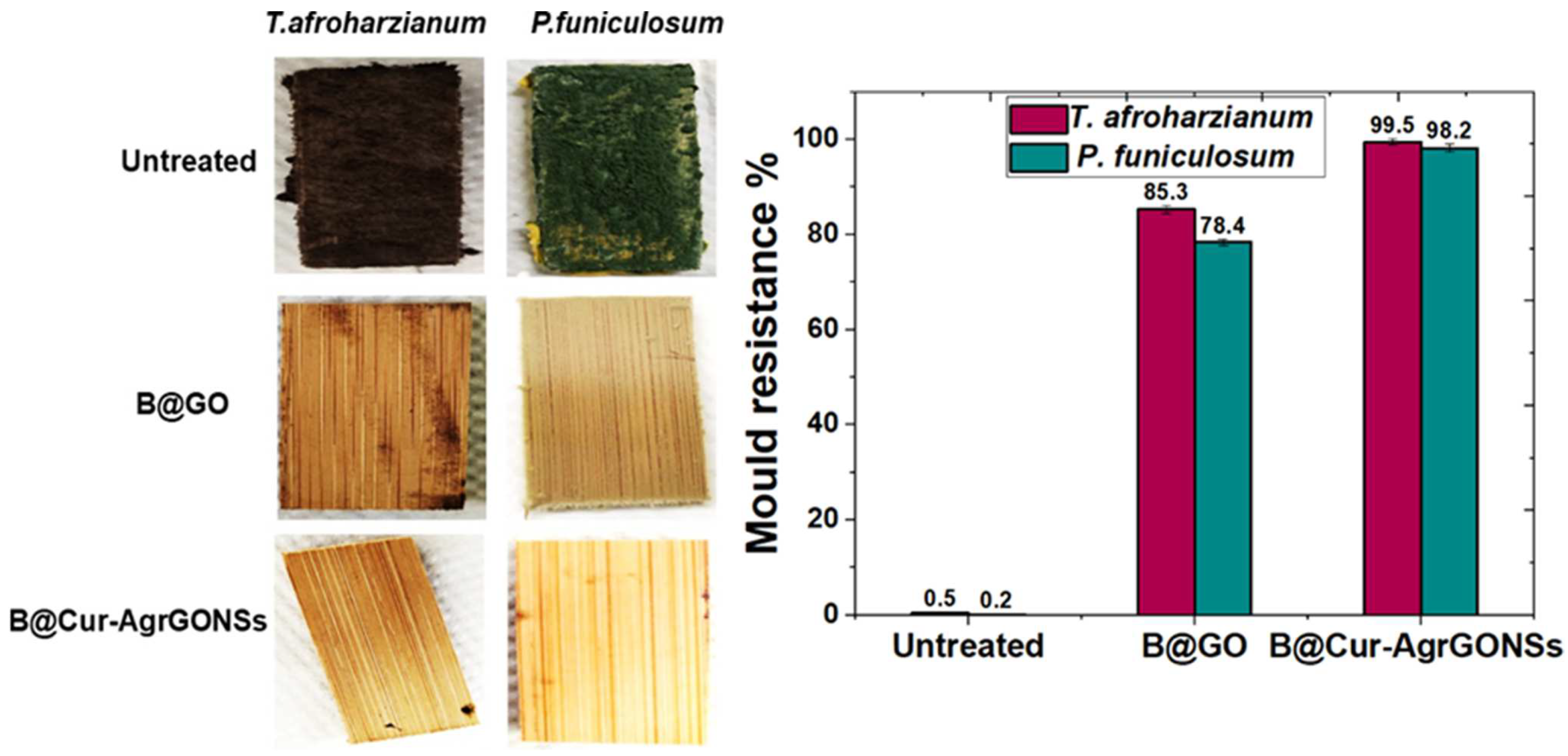 Coatings 12 00980 g005