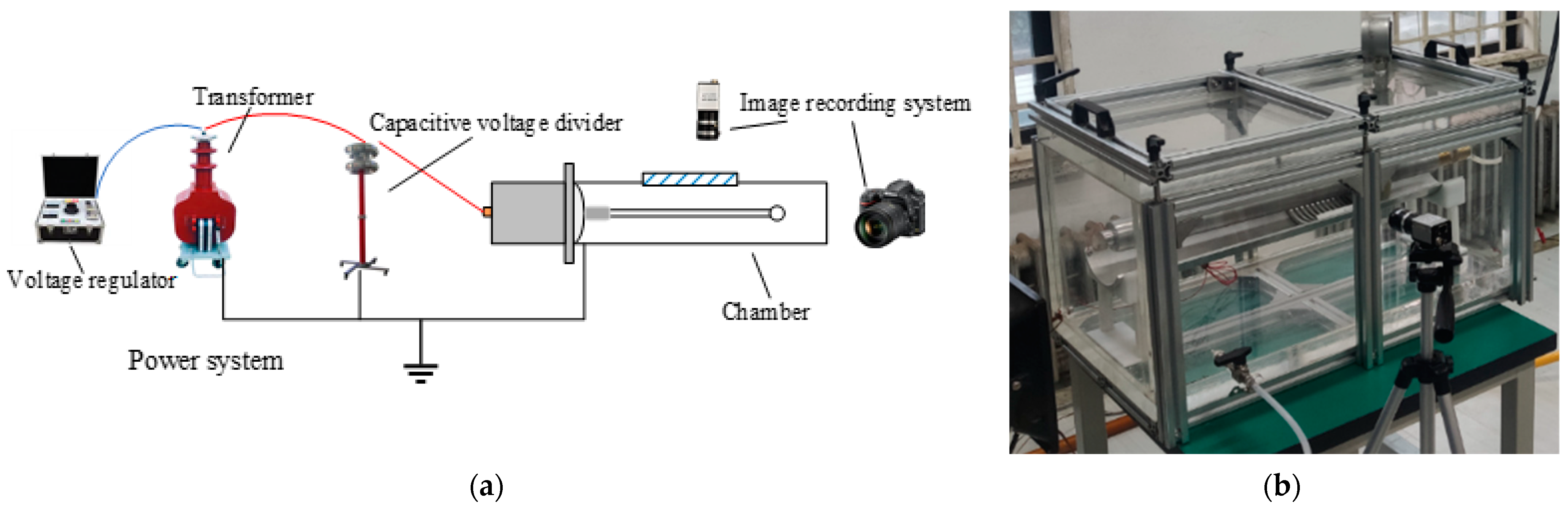 Coatings 12 00981 g009