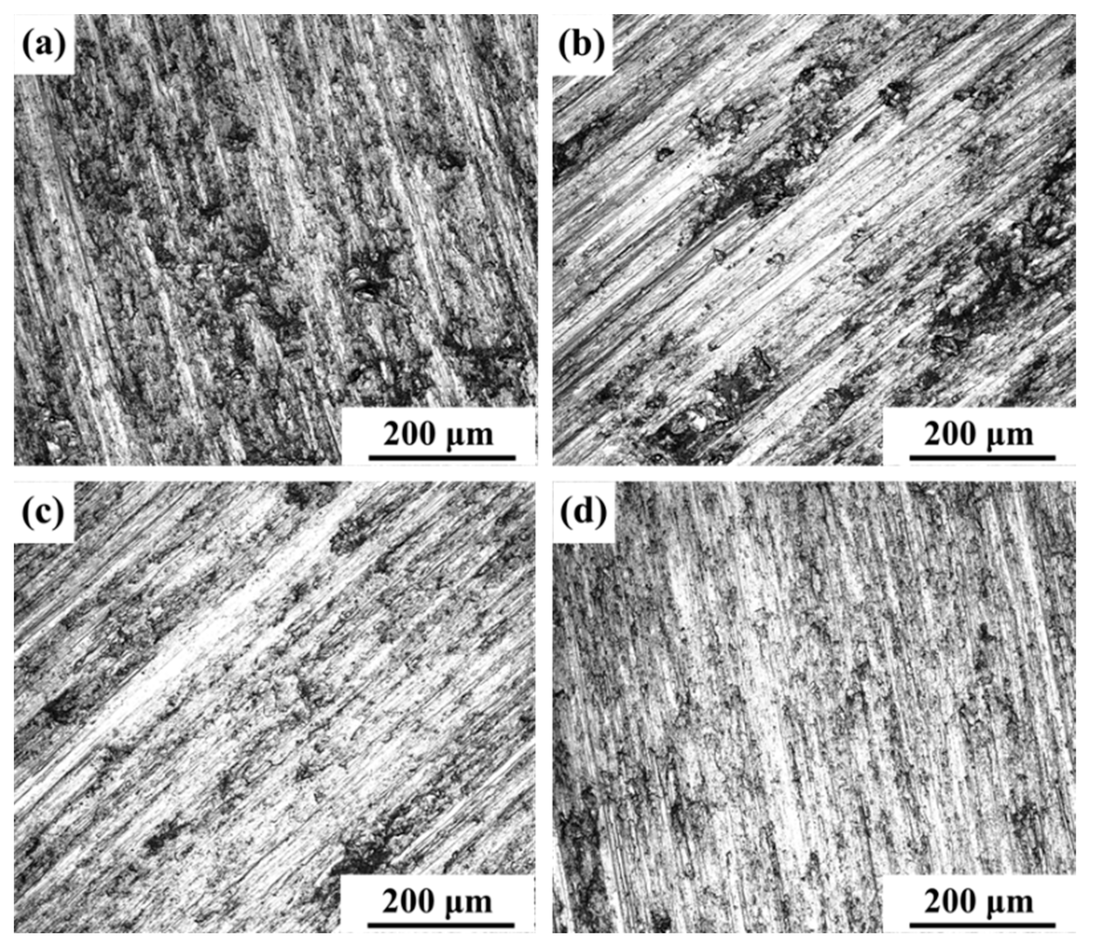 Coatings 12 00986 g017