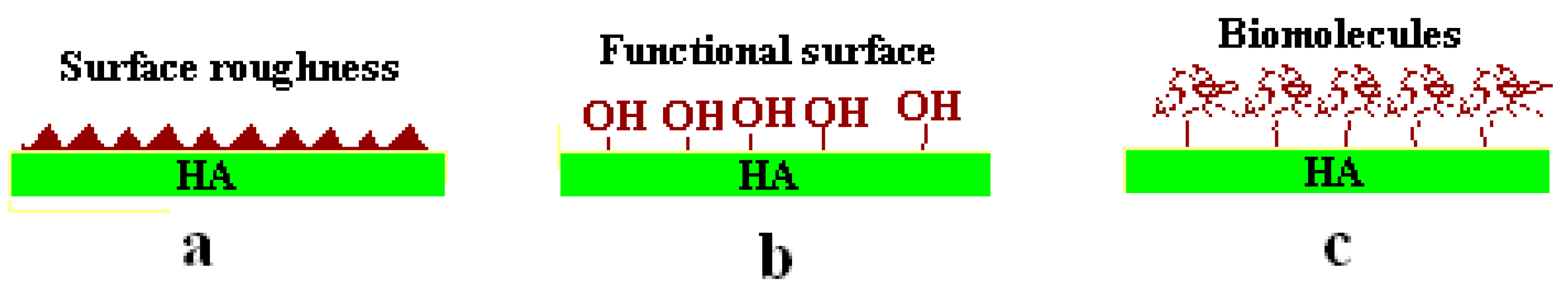 Coatings 12 00999 g002