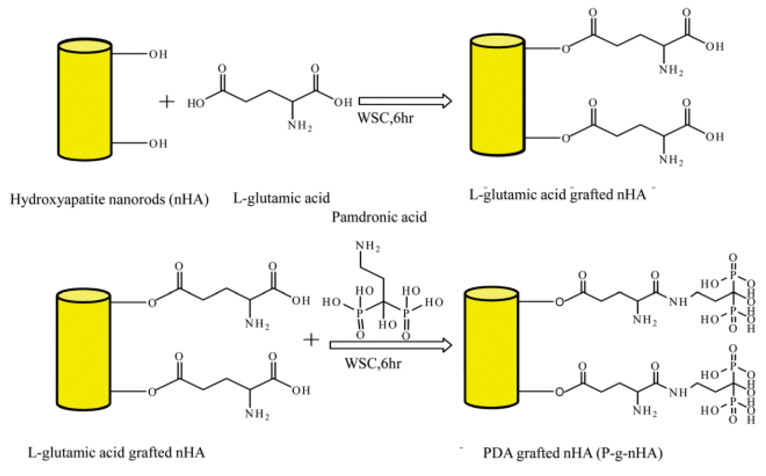 Coatings 12 00999 g005