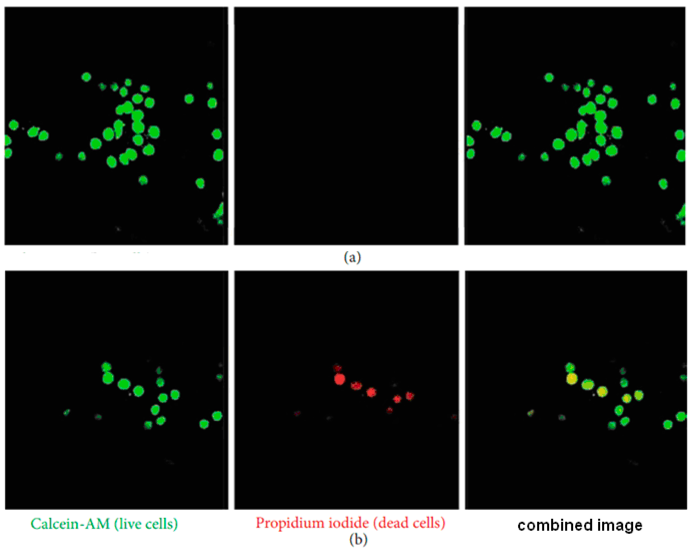 Coatings 12 00999 g009