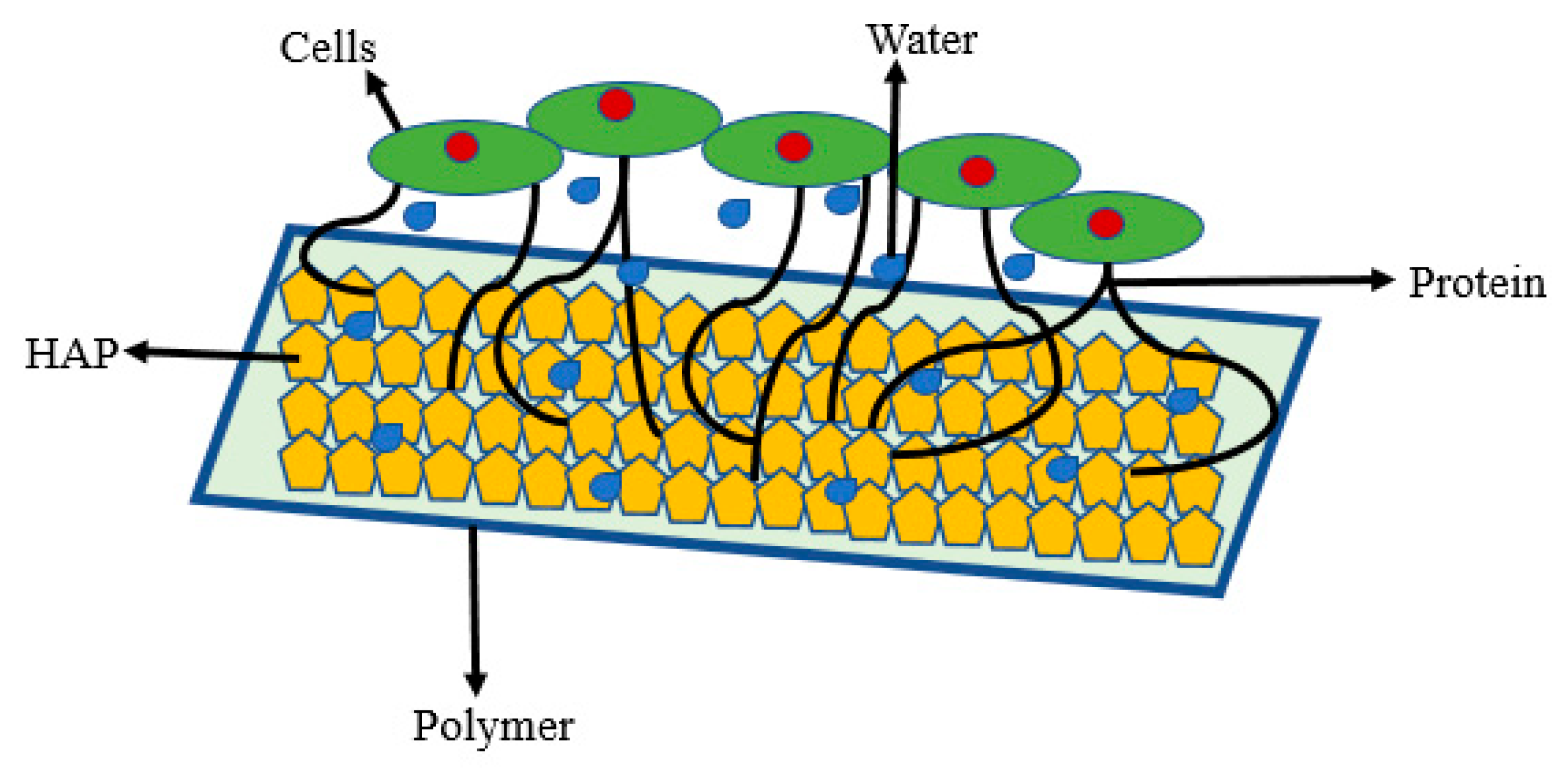 Coatings 12 00999 g012