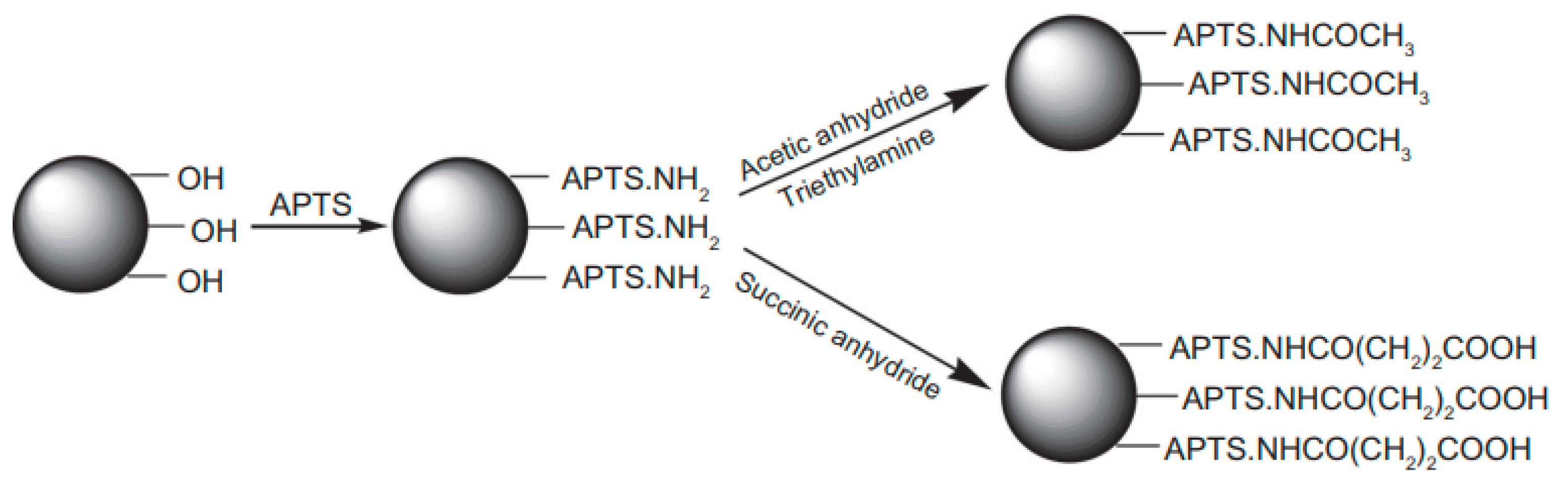 Coatings 12 00999 g013