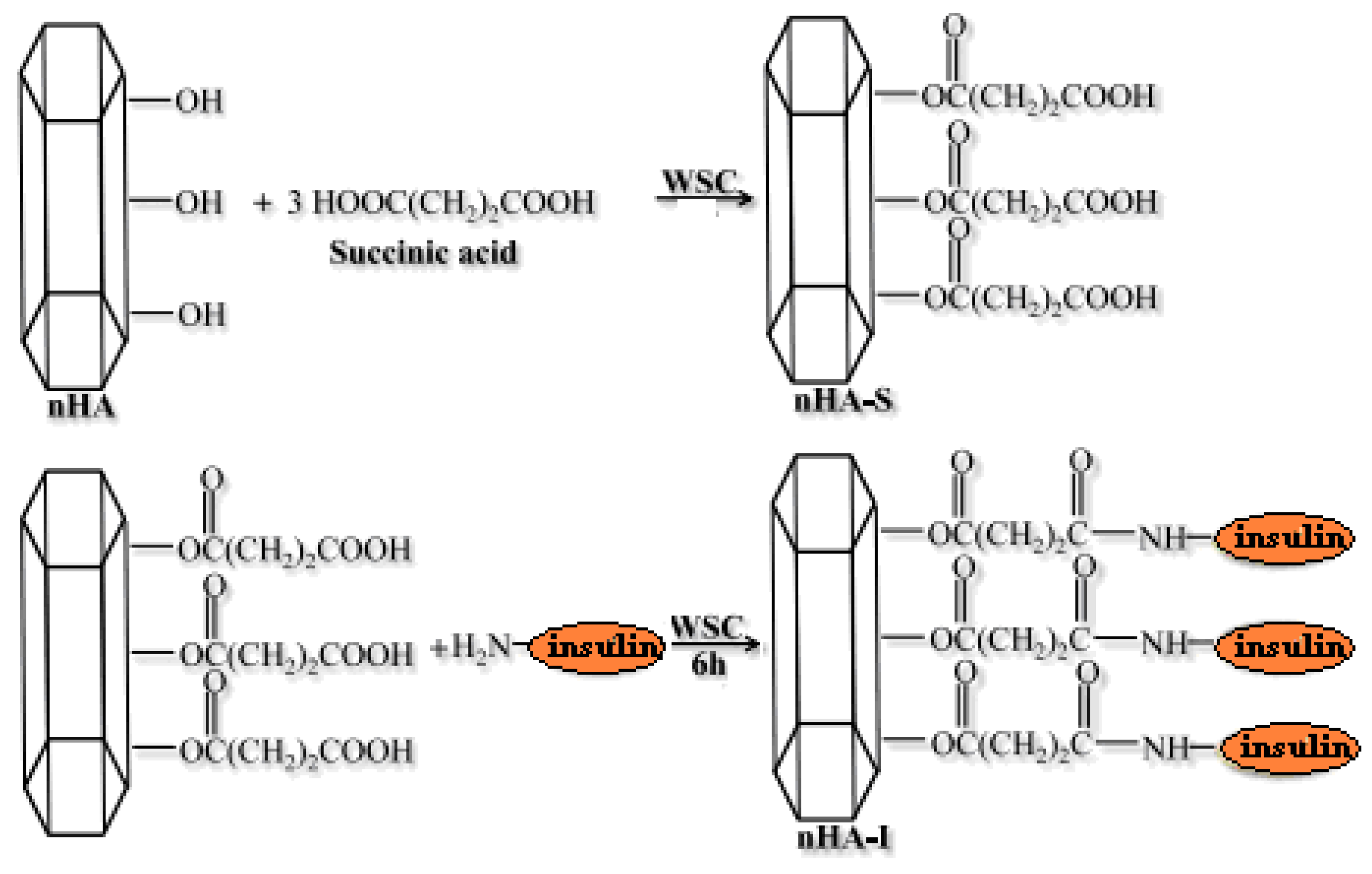 Coatings 12 00999 g016
