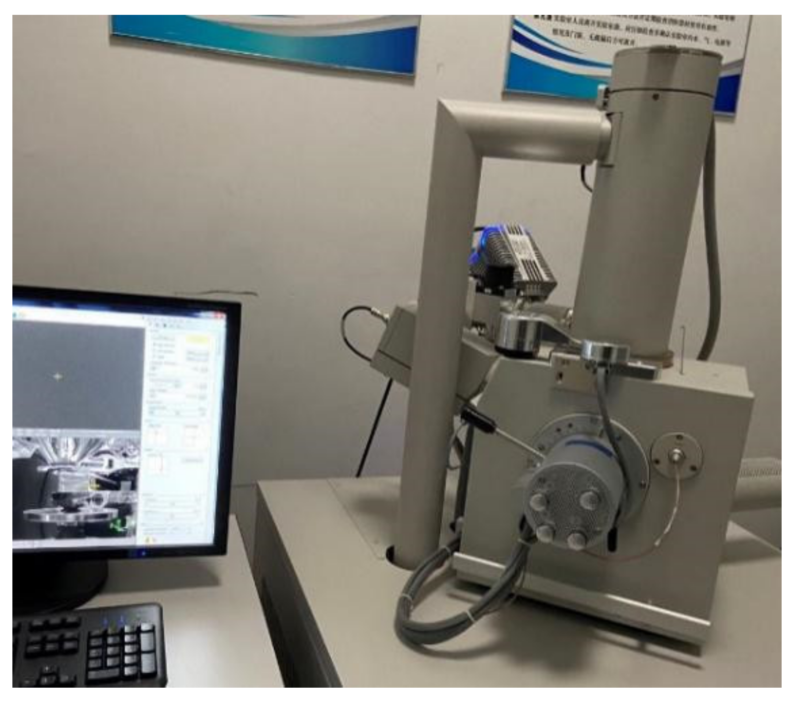 Coatings 12 01003 g005