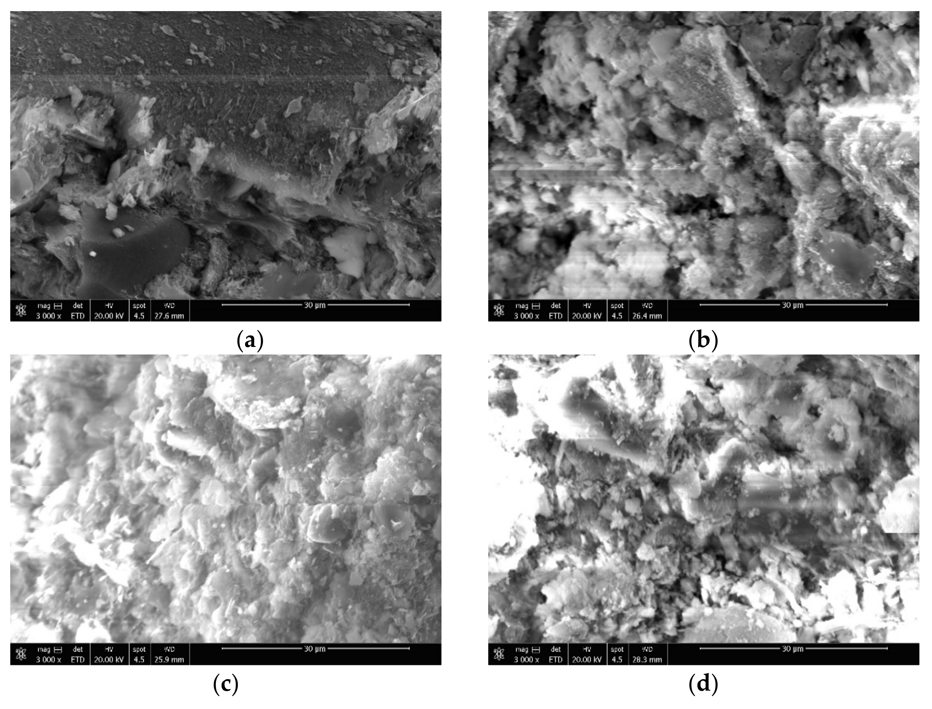Coatings 12 01003 g006