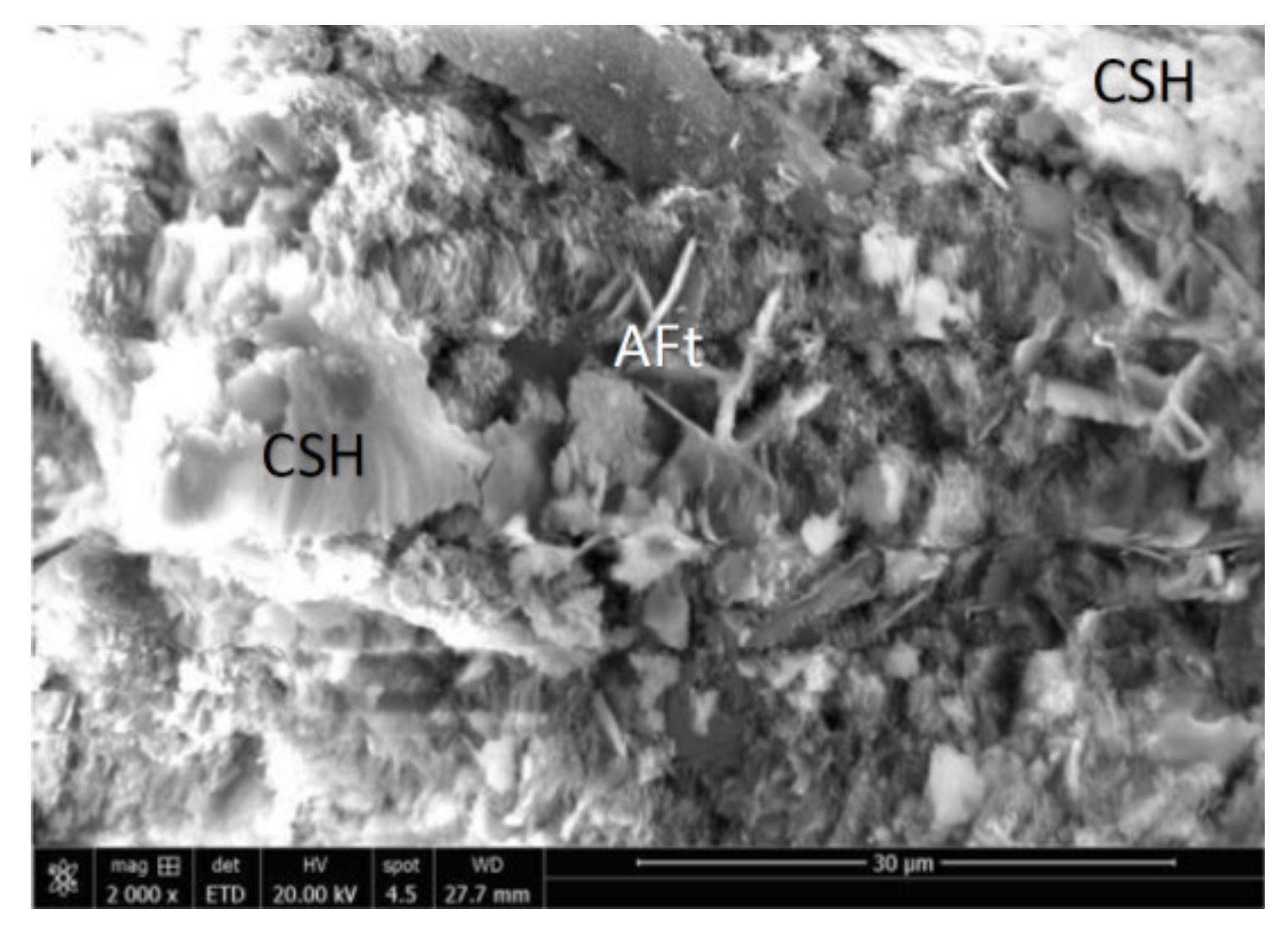 Coatings 12 01003 g007