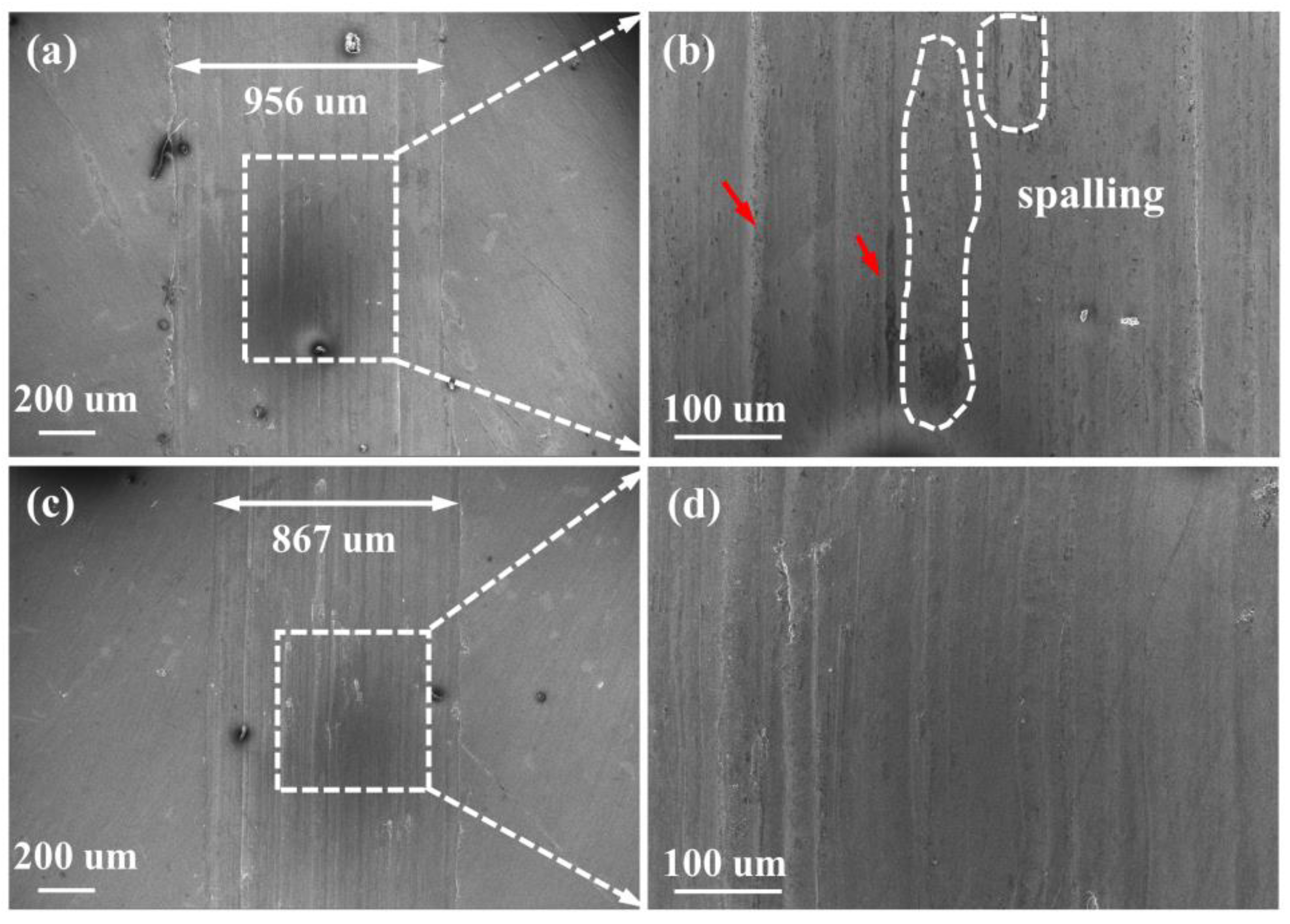 Coatings 12 01004 g009