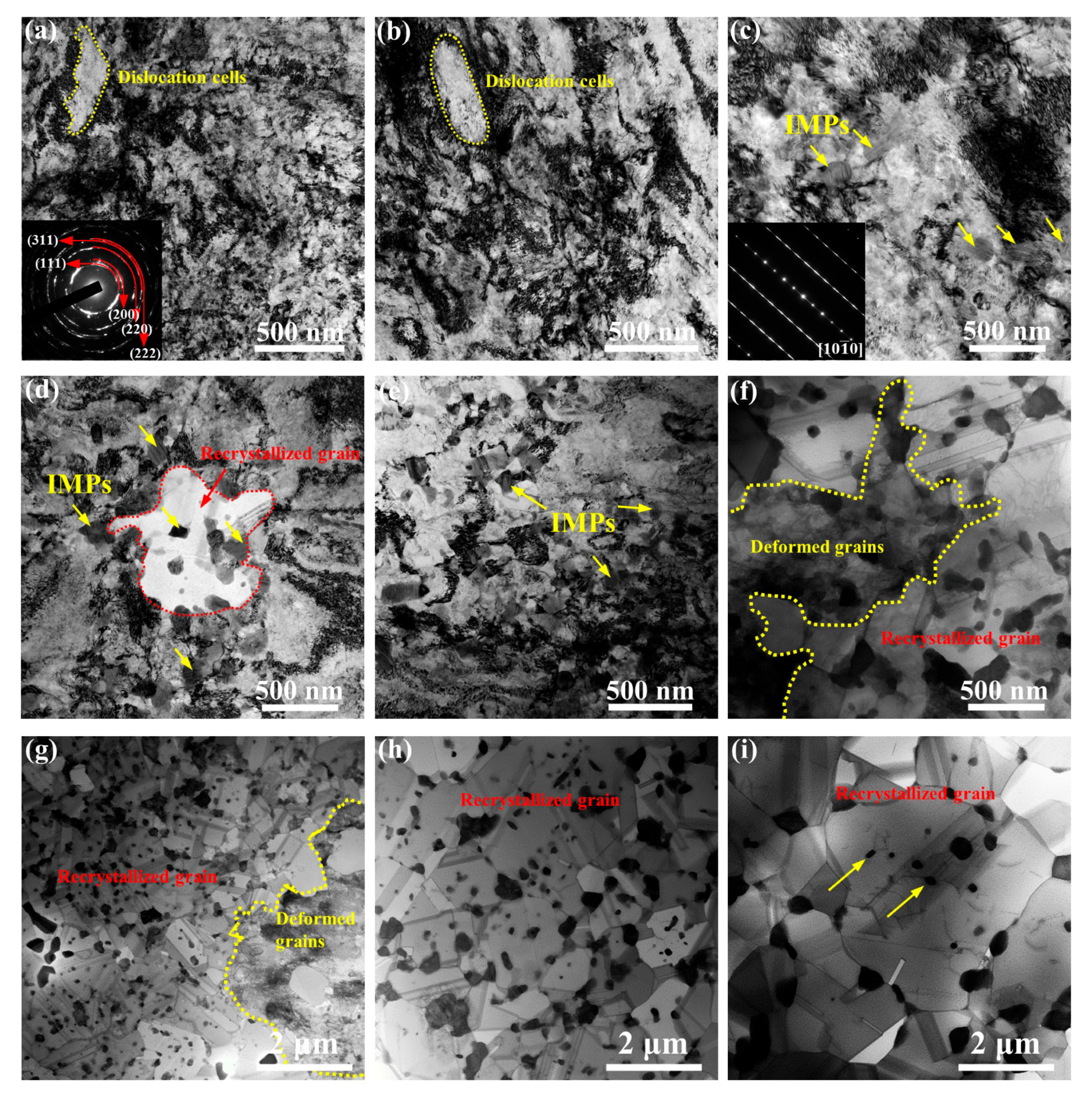 Coatings 12 01032 g001 Coatings 12 01032 g001