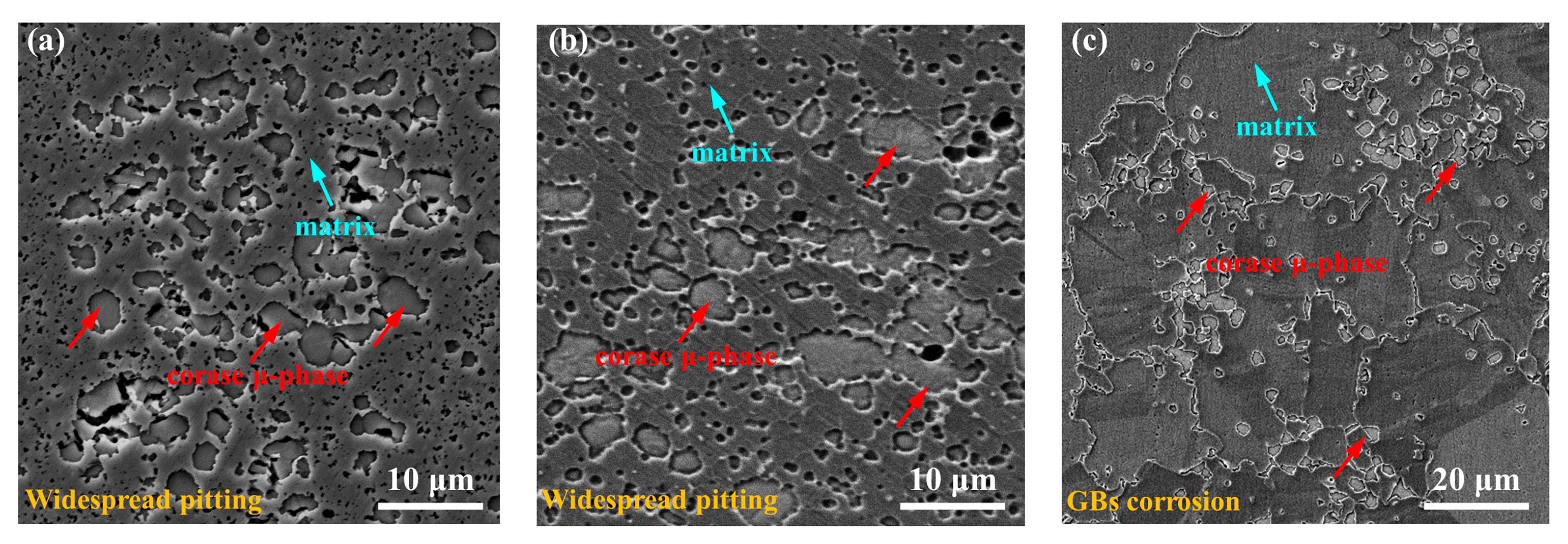 Coatings 12 01032 g008 Coatings 12 01032 g008