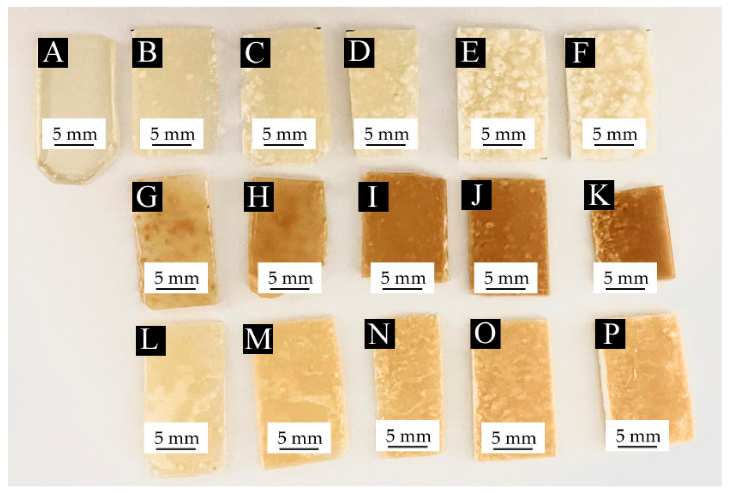 Coatings 12 01056 g005