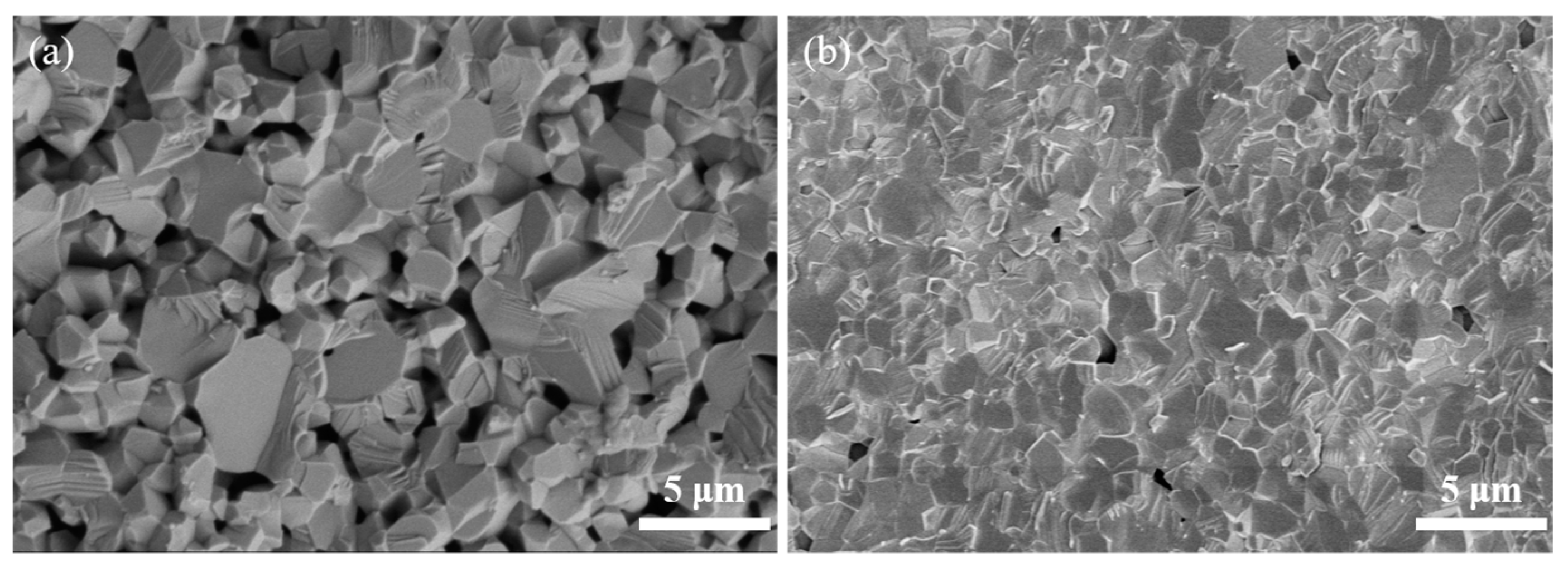 Coatings 12 01077 g007