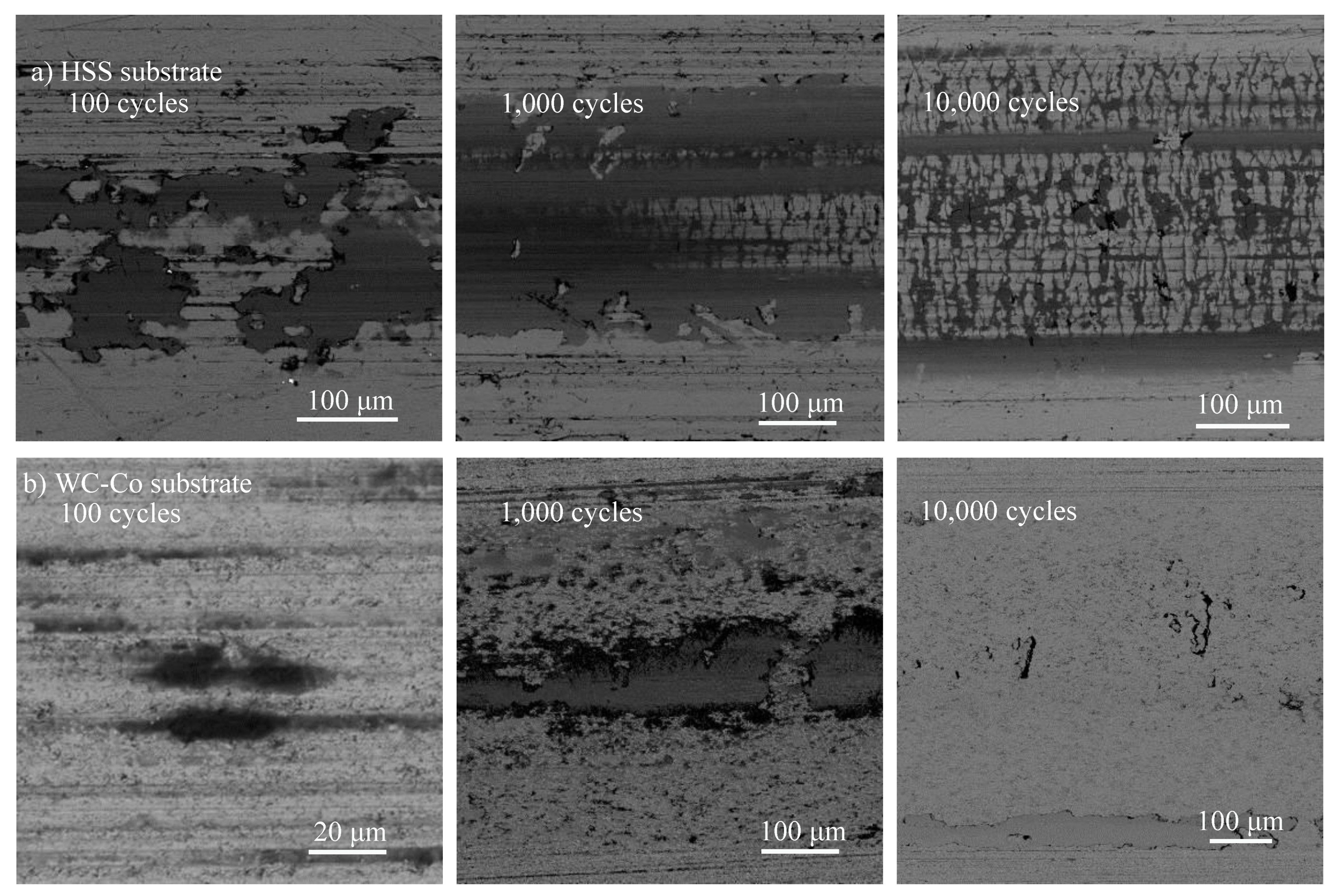 Coatings 12 01082 g008
