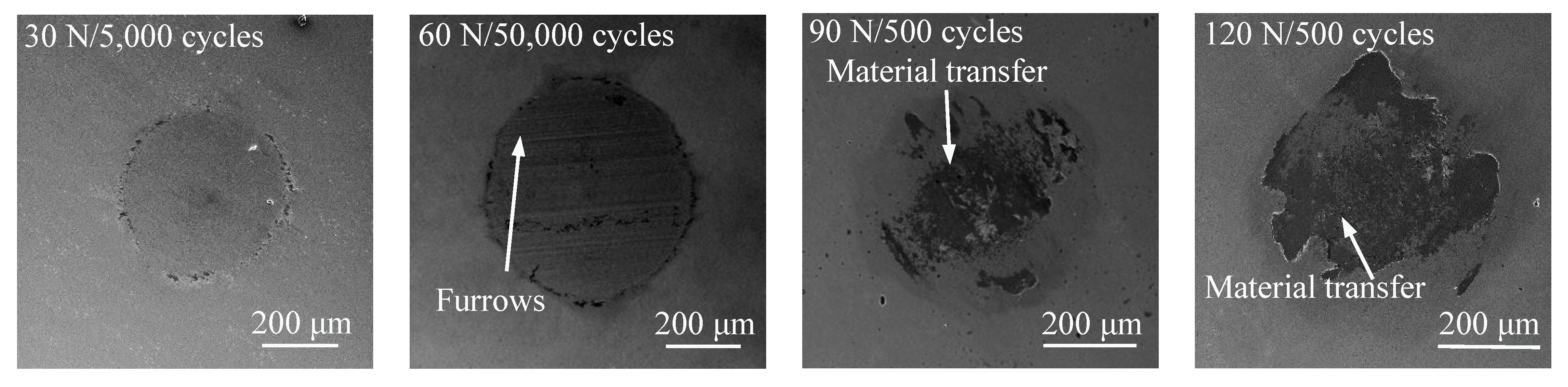 Coatings 12 01082 g010