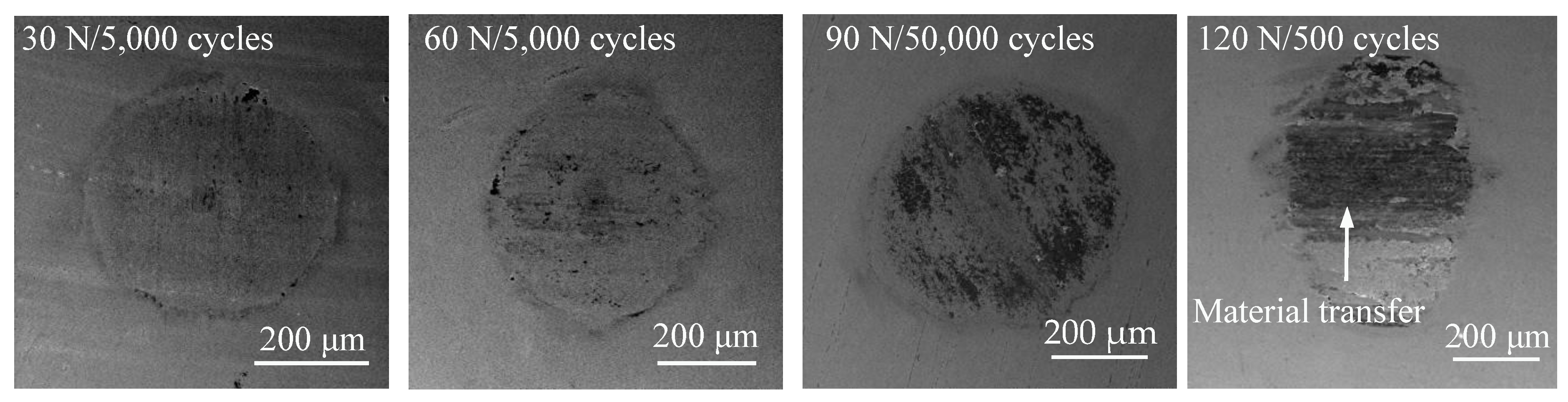 Coatings 12 01082 g012