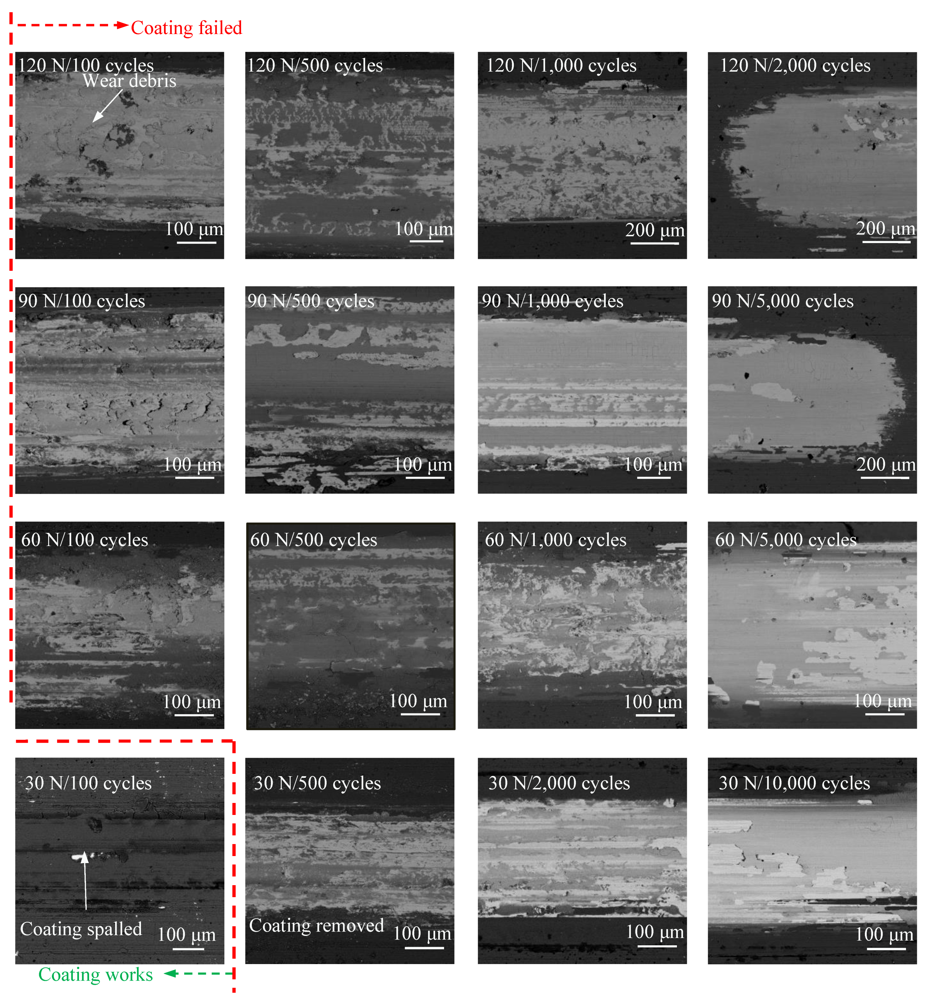 Coatings 12 01082 g013