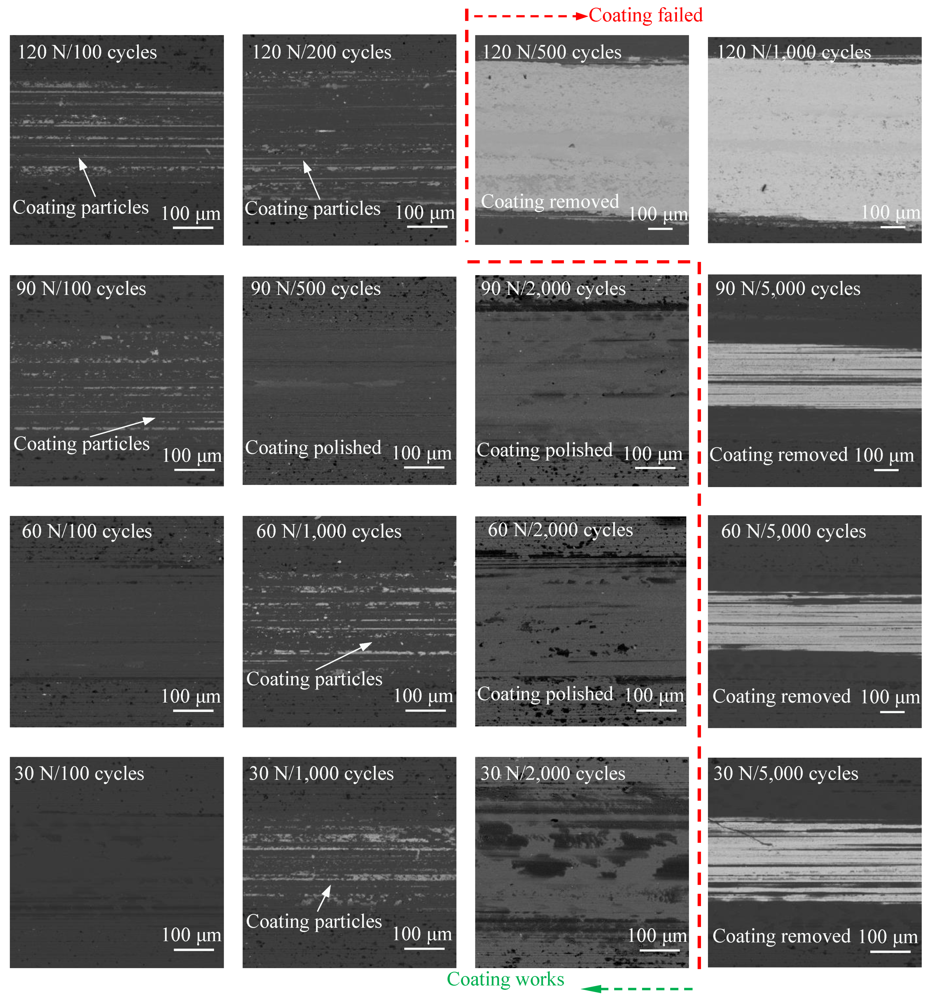 Coatings 12 01082 g015