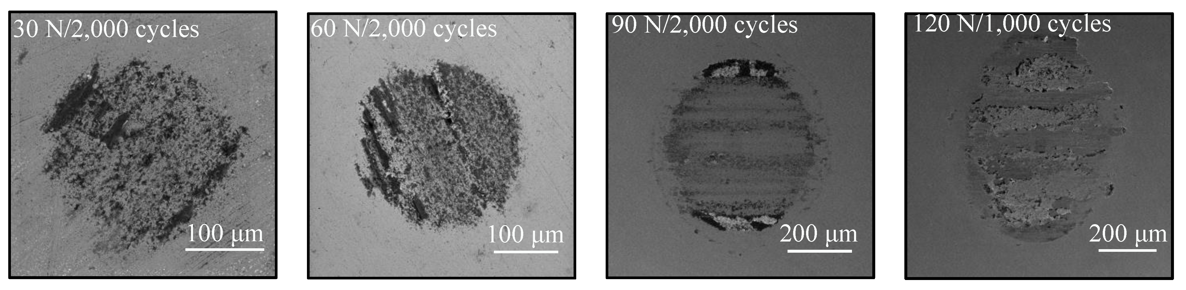 Coatings 12 01082 g016