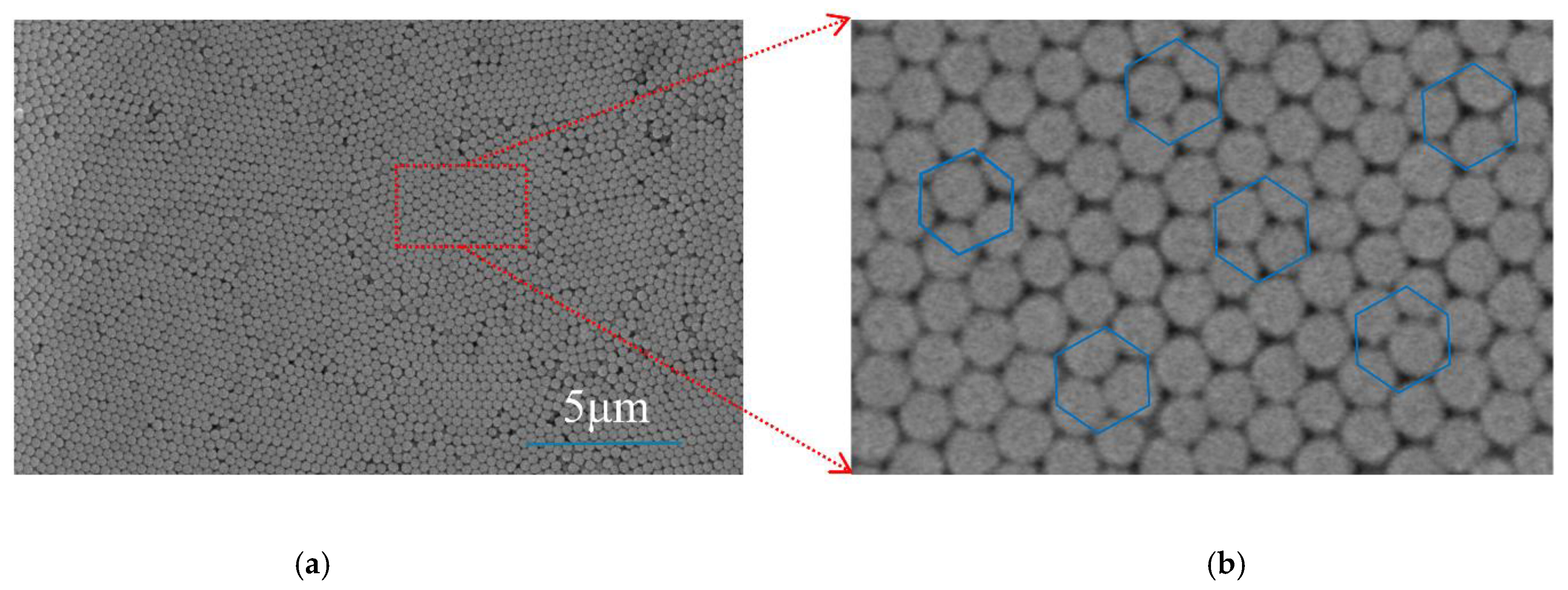 Coatings 12 01085 g003