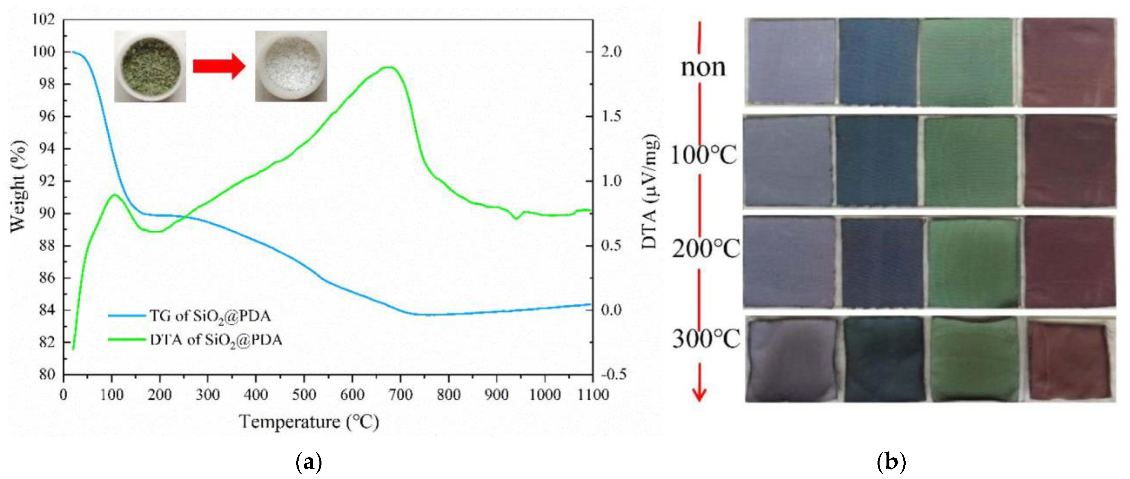 Coatings 12 01085 g007