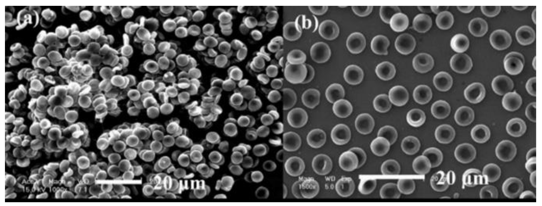 Coatings 12 01088 g004