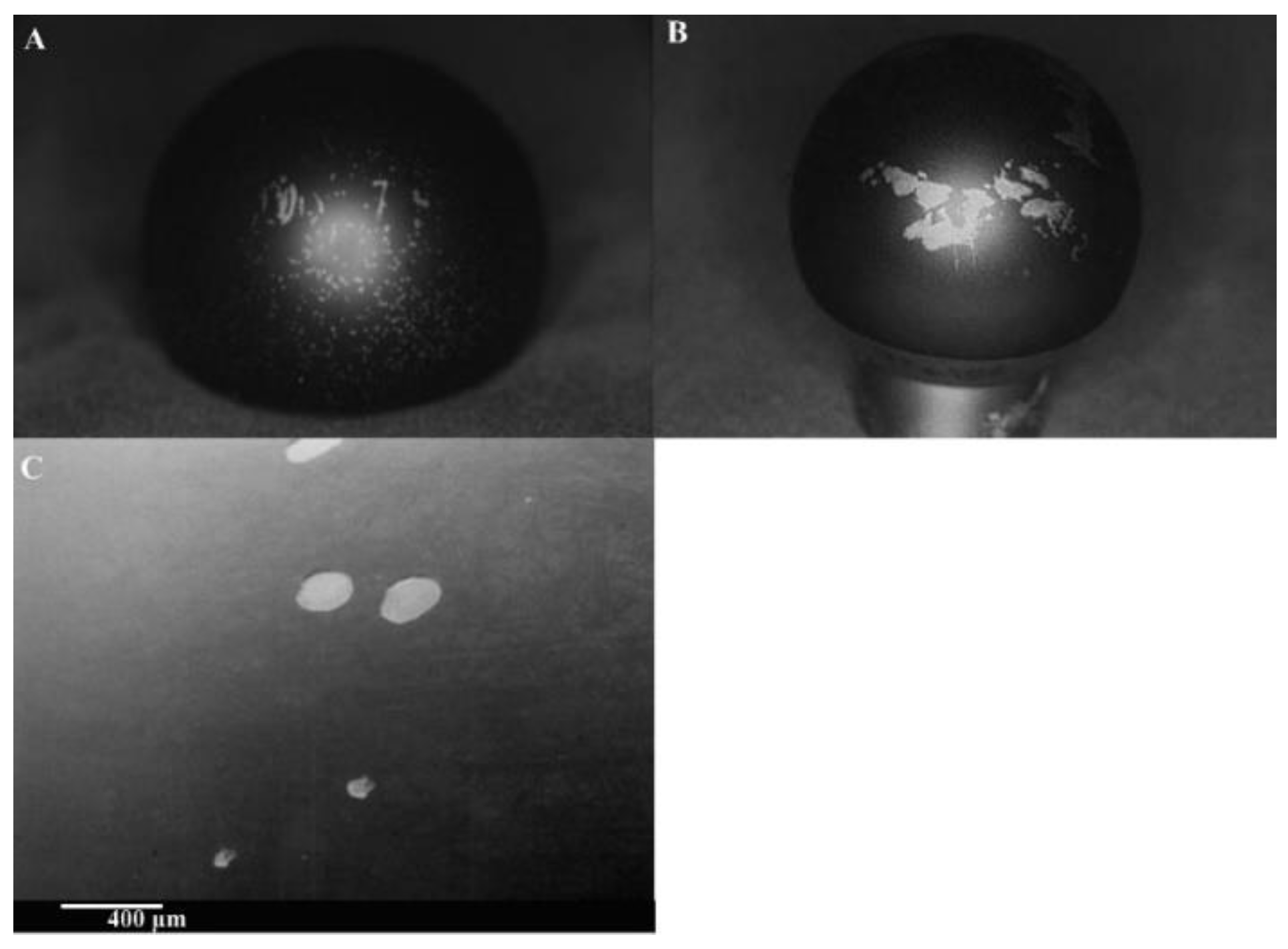 Coatings 12 01088 g005