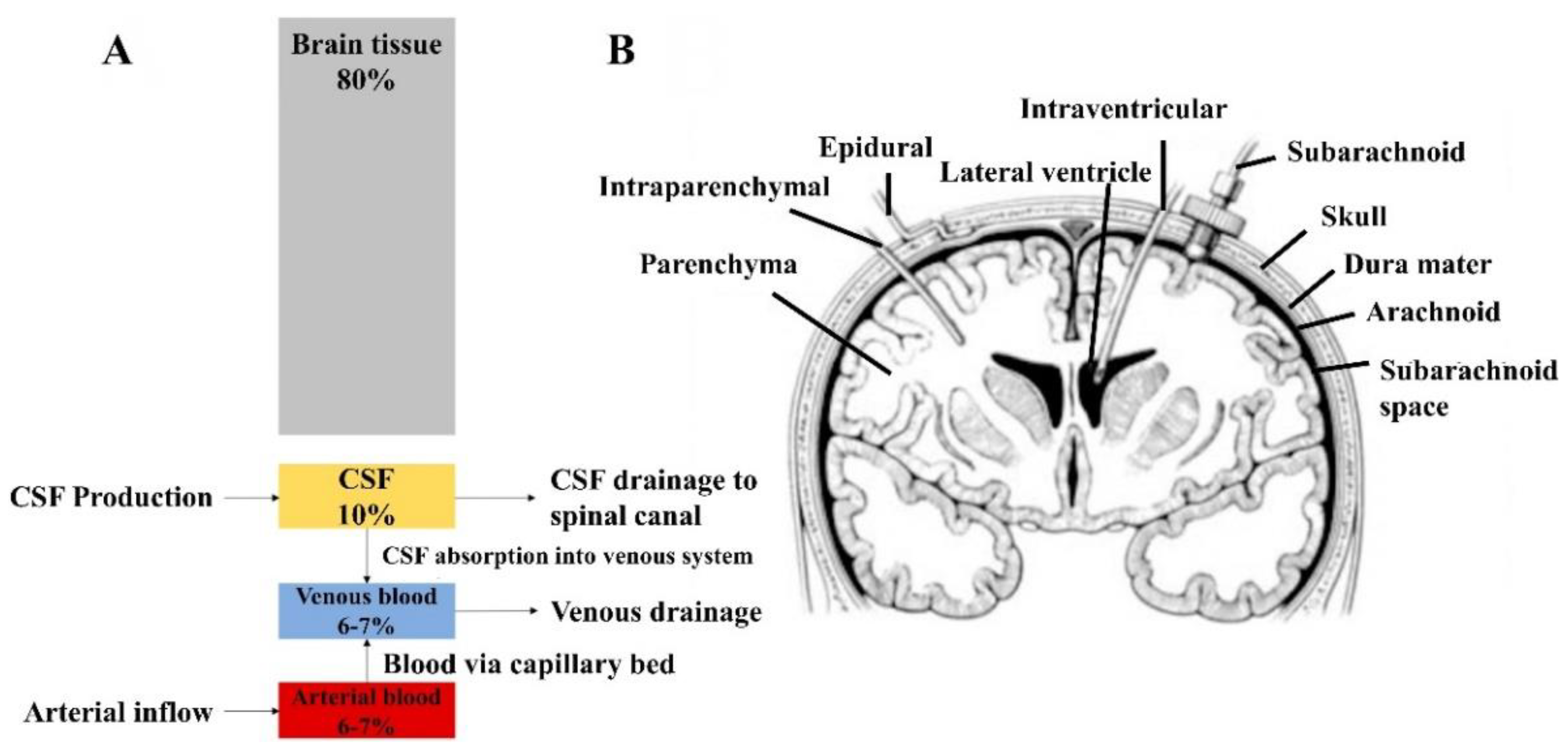 Coatings 12 01088 g007