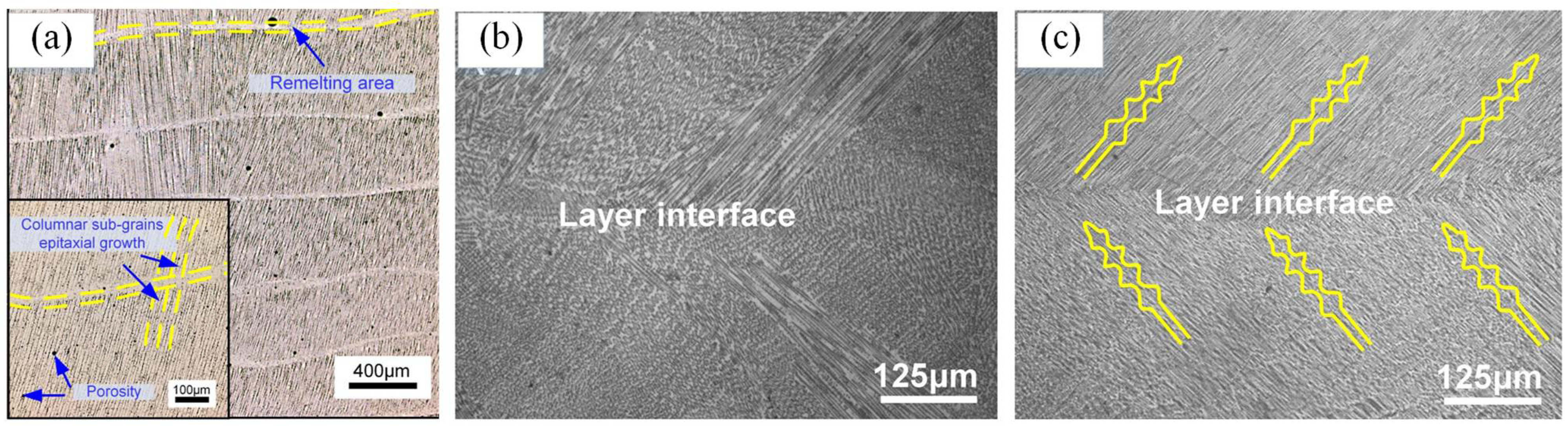 Coatings 12 01104 g005