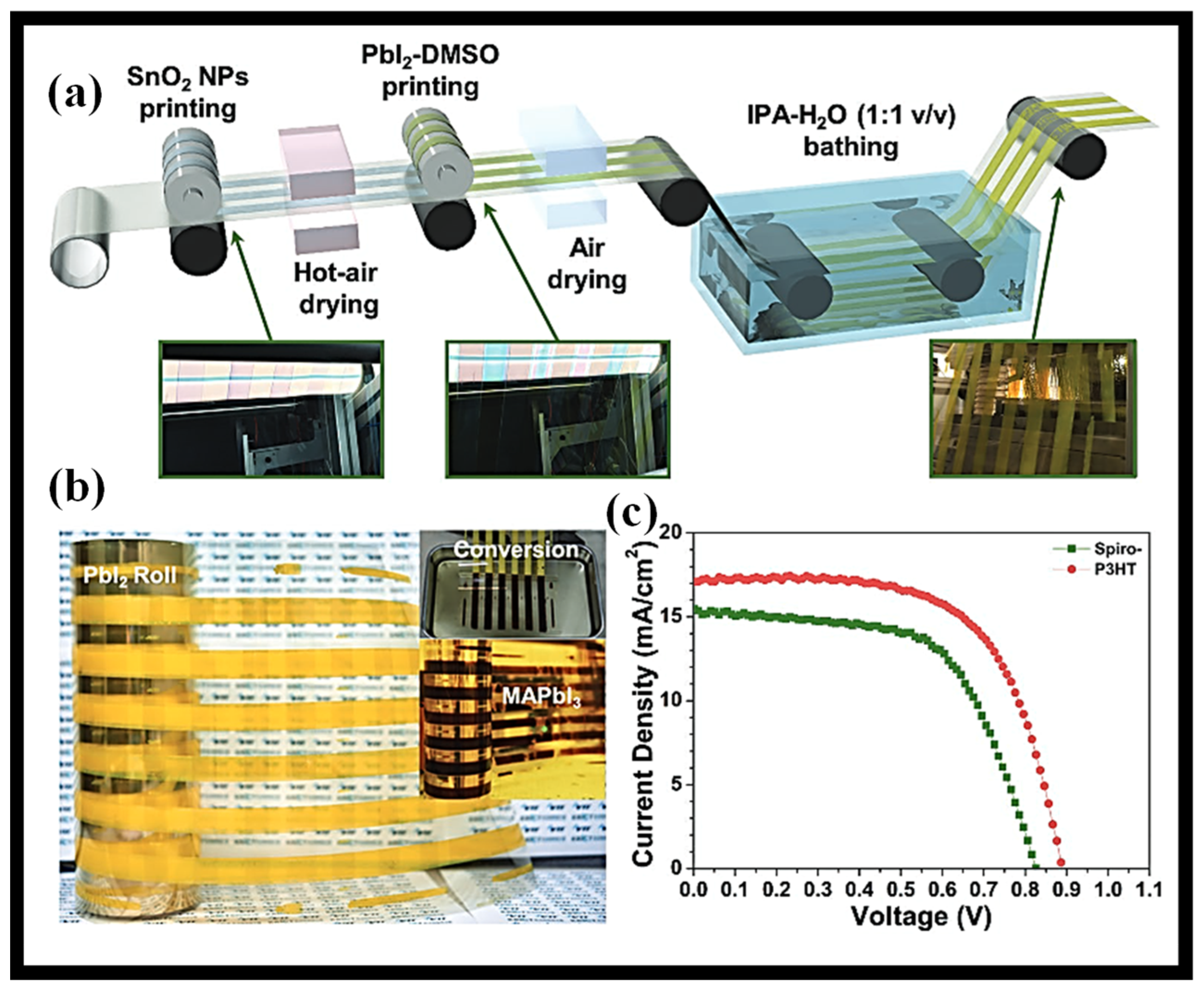 Coatings 12 01115 g008