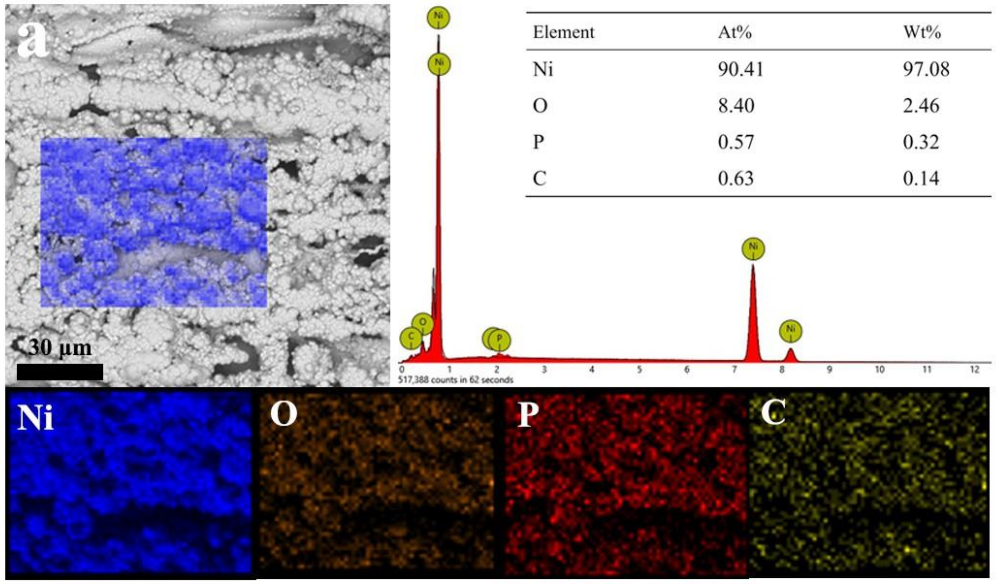 Coatings 12 01117 g002a
