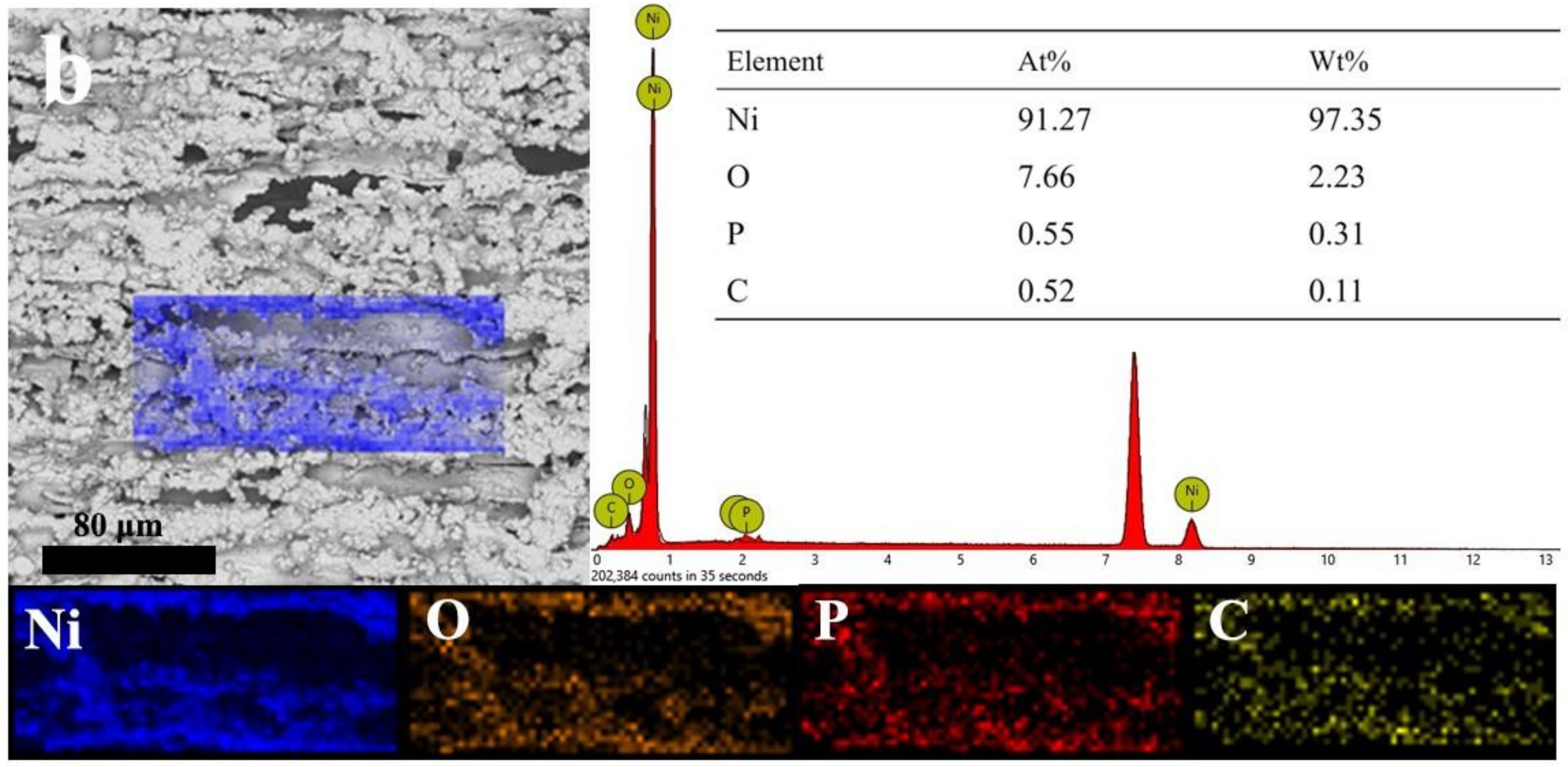 Coatings 12 01117 g002b