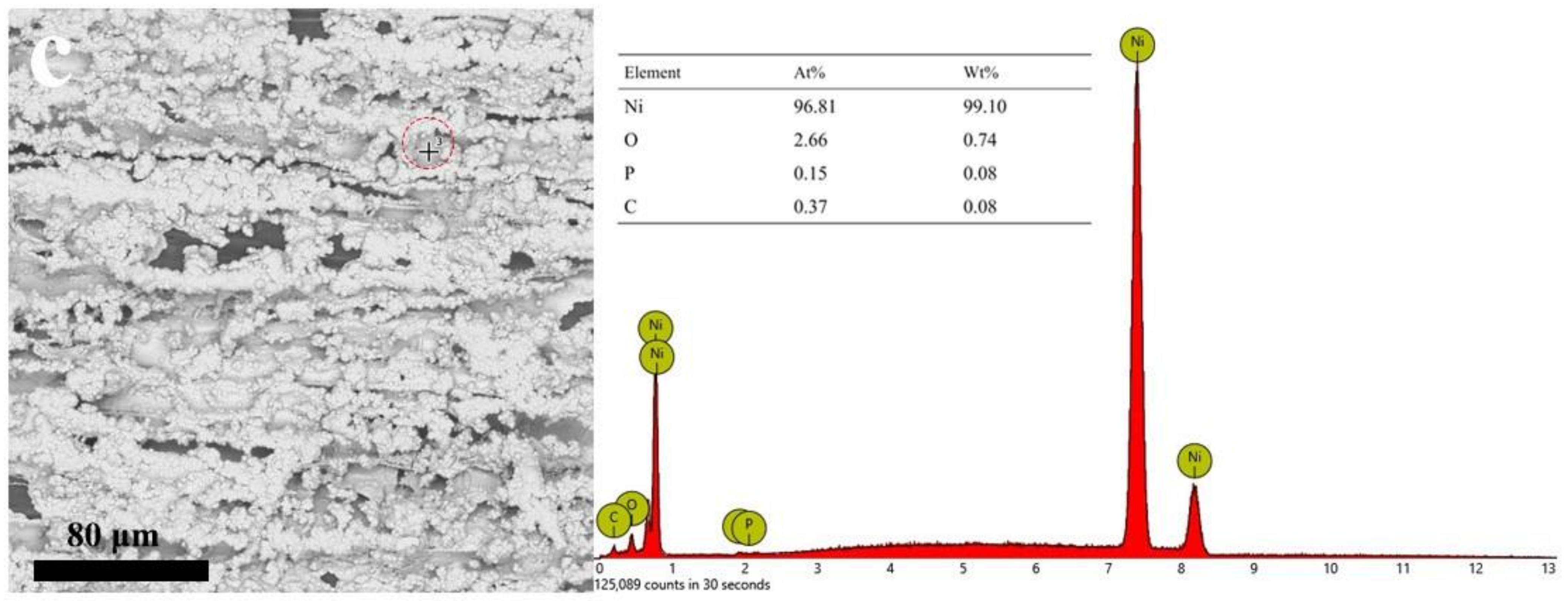 Coatings 12 01117 g003b