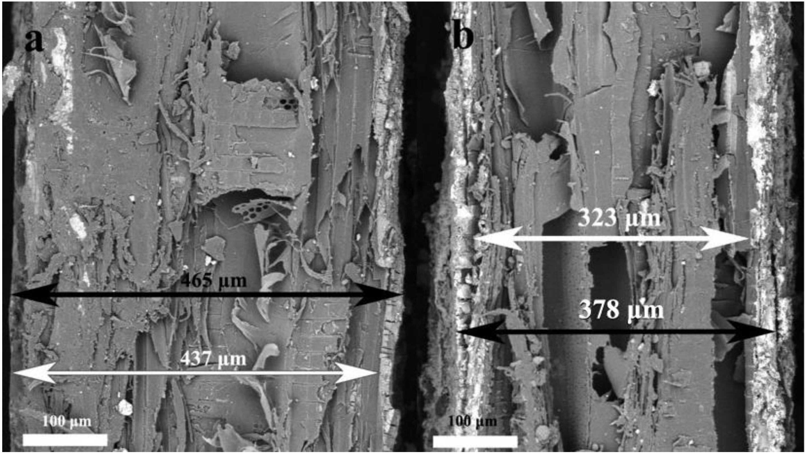 Coatings 12 01117 g004a