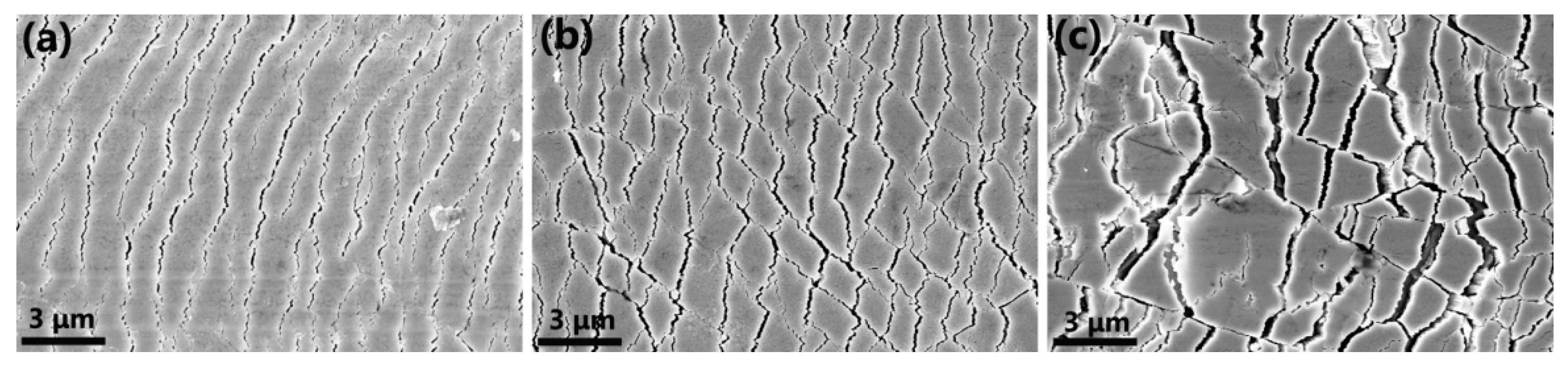 Coatings 12 01131 g019