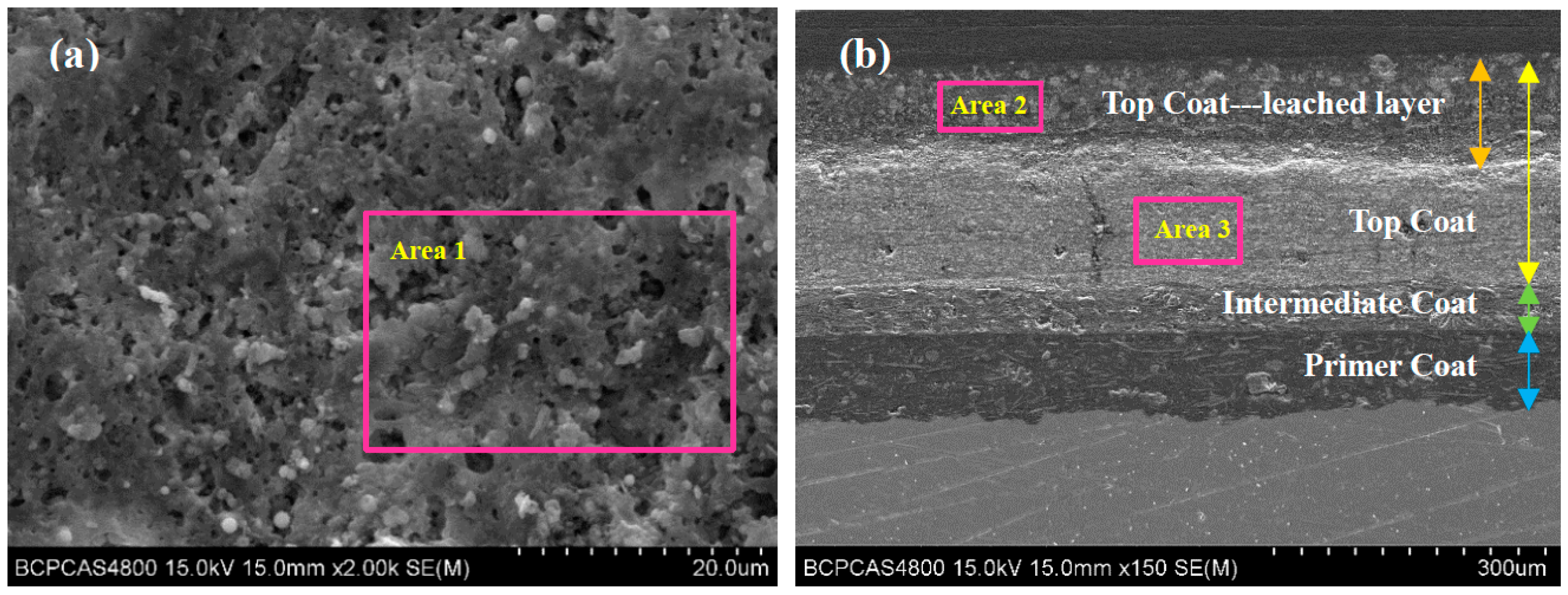 Coatings 12 01156 g004