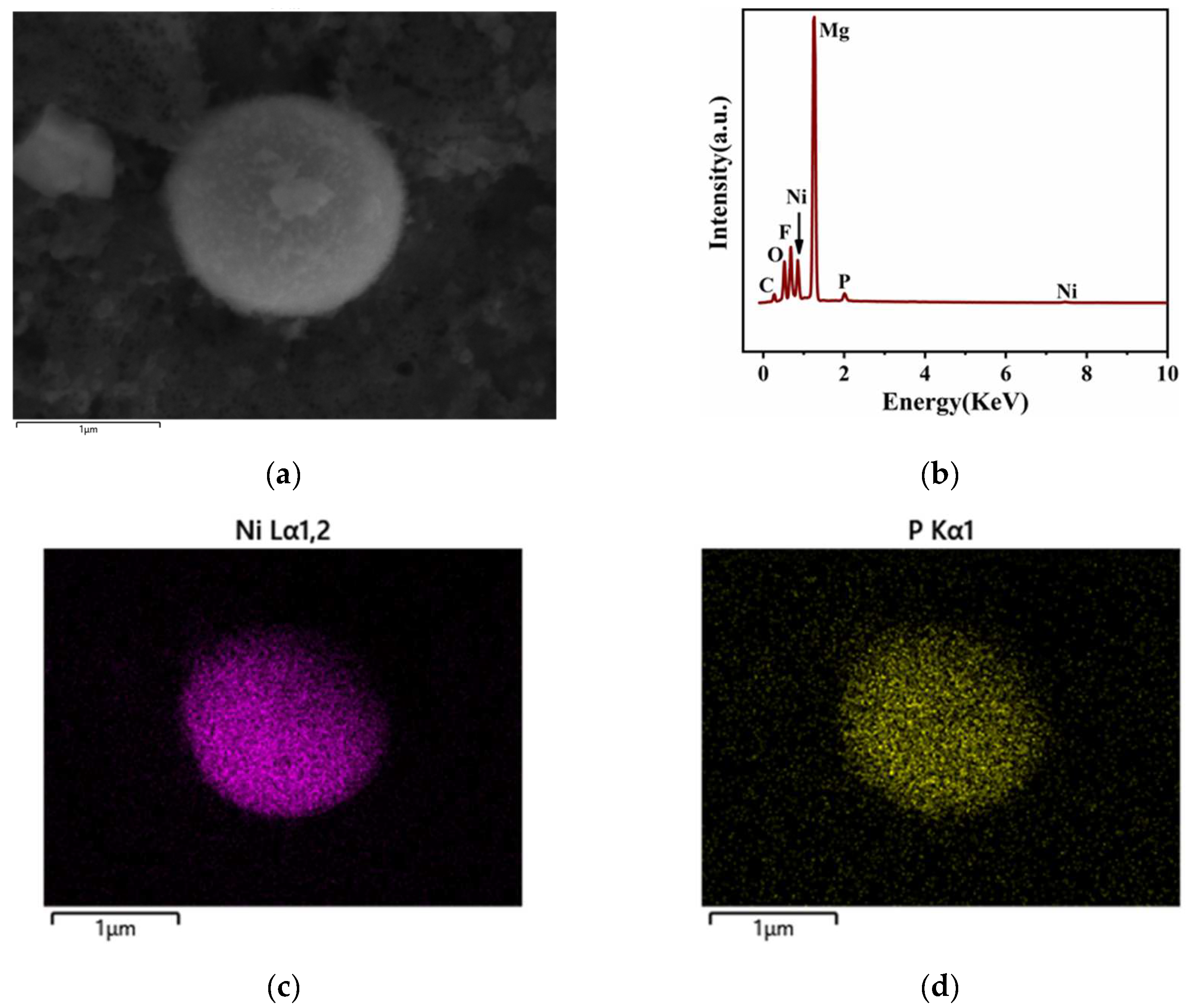 Coatings 12 01157 g003