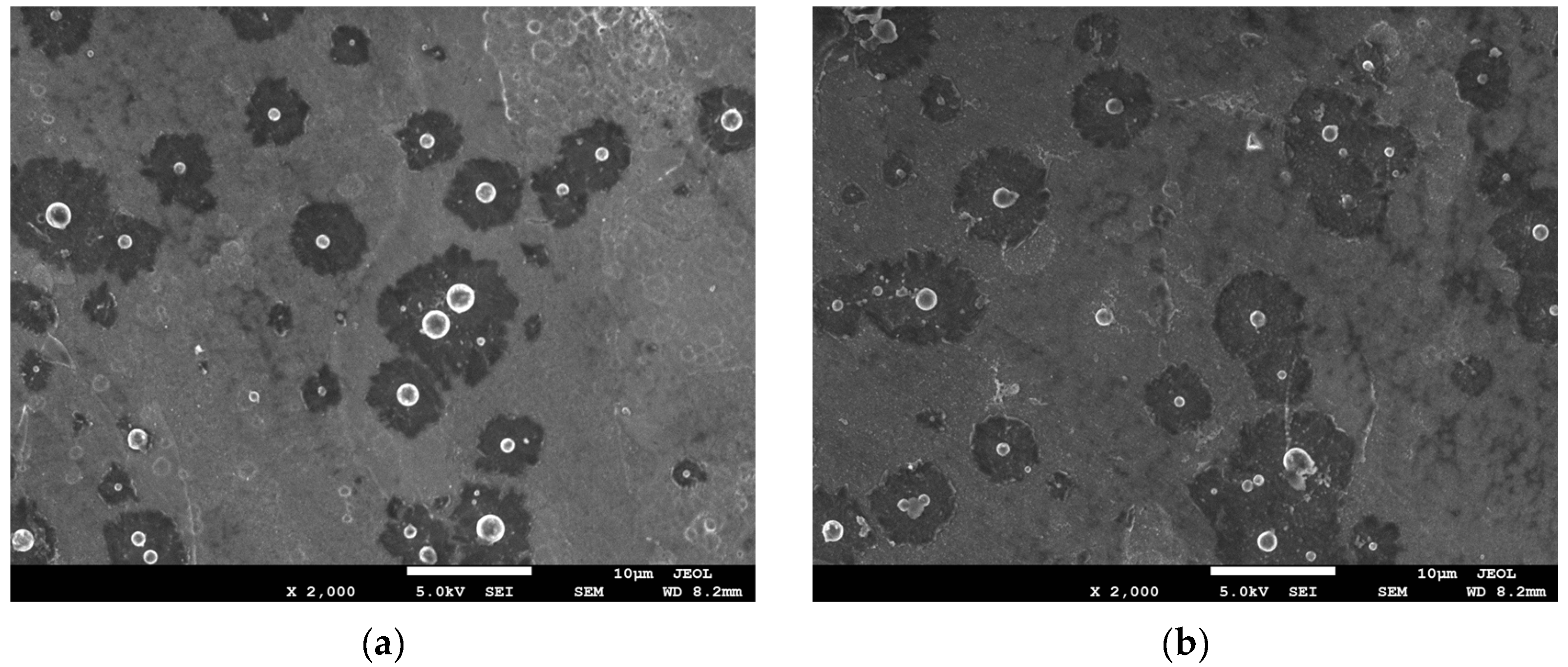 Coatings 12 01157 g004a