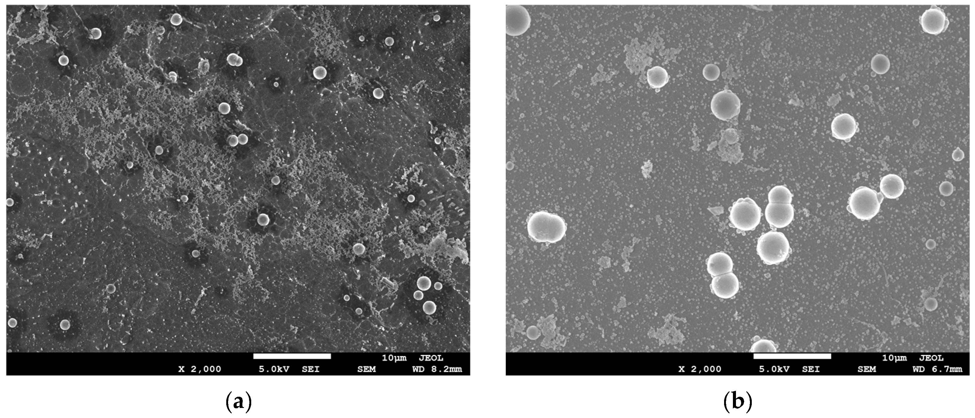 Coatings 12 01157 g006a
