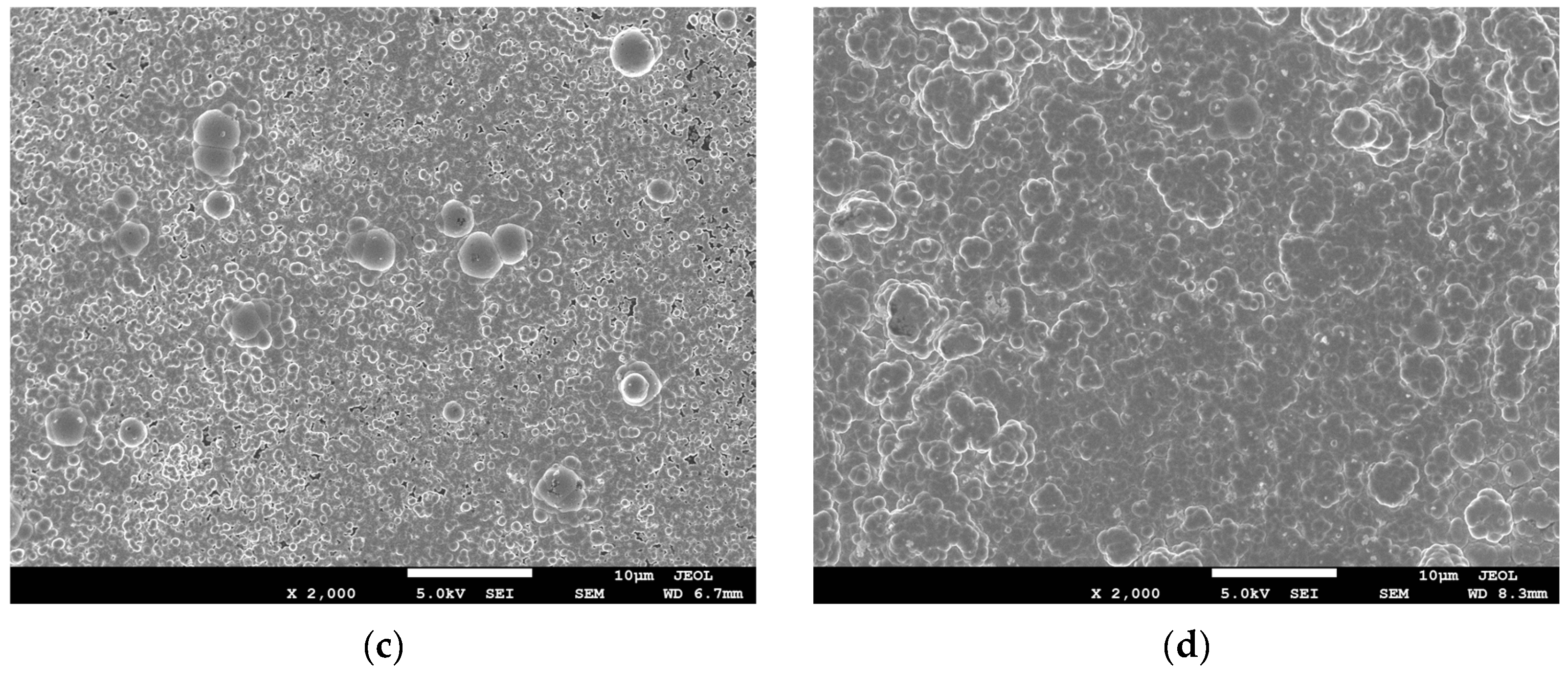 Coatings 12 01157 g006b