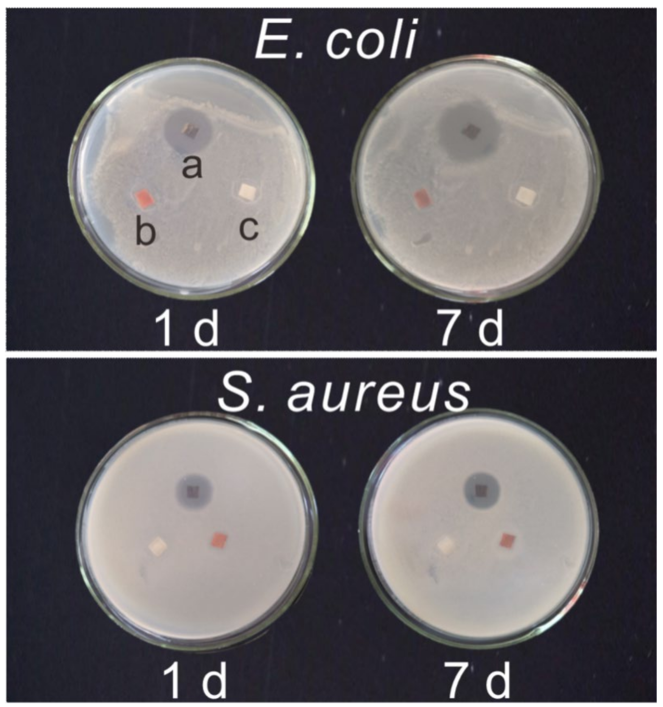 Coatings 12 01161 g002